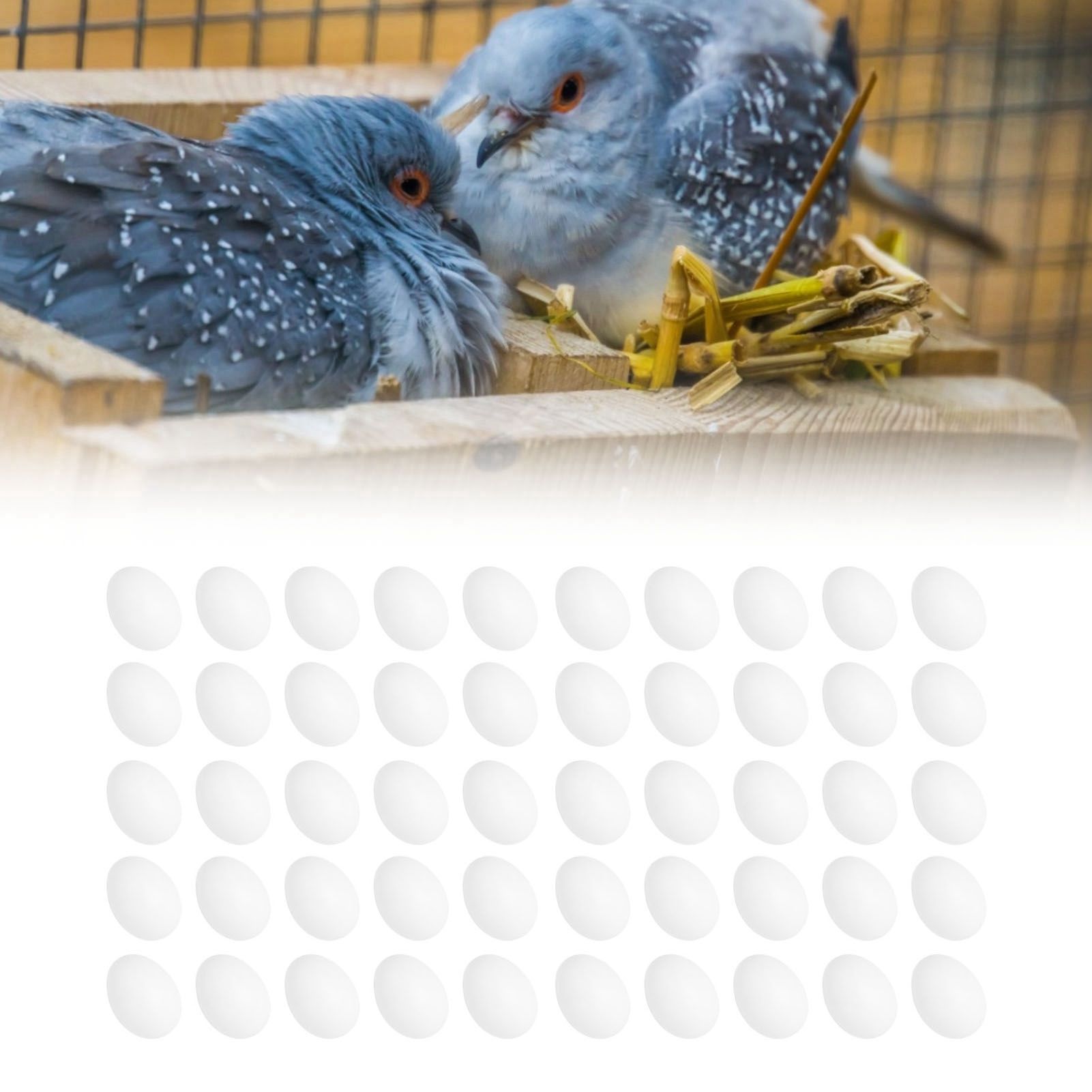 50pcs Plastic Fake Pigeon Egg Solid Fake Egg Simulation Hatching Breeding view 11