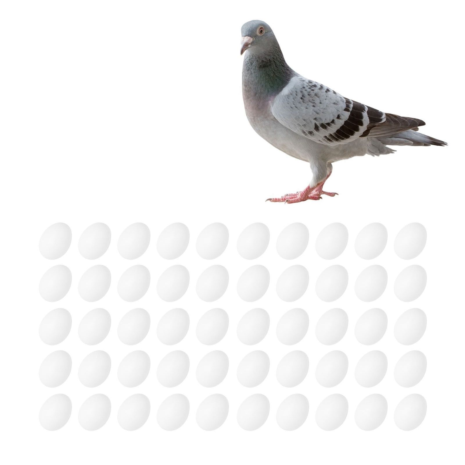 50pcs Plastic Fake Pigeon Egg Solid Fake Egg Simulation Hatching Breeding view 12