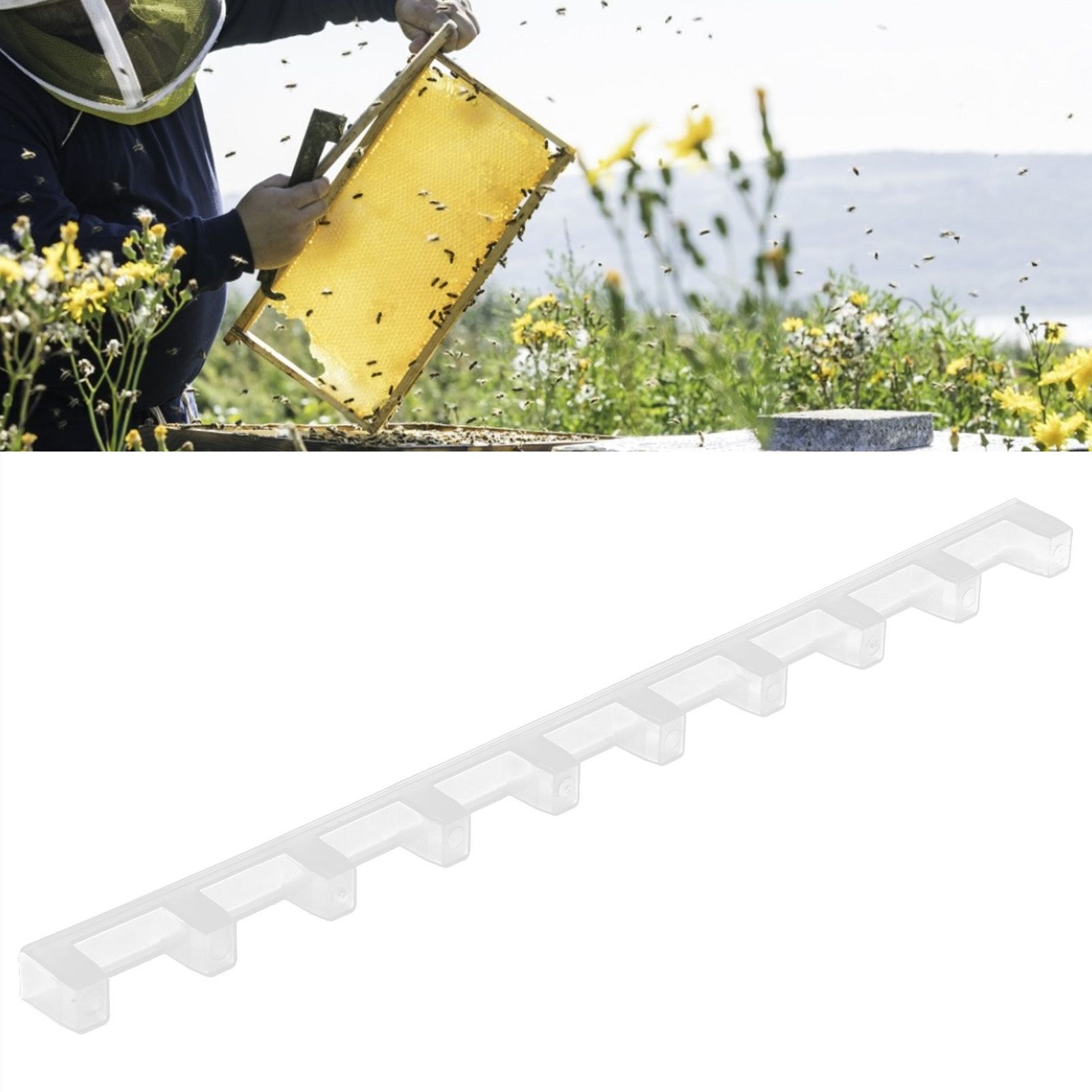 10PCS Beehive Beekeeping Spacers Frame Clips Beehive Frame Shelves Beekeeping view 12