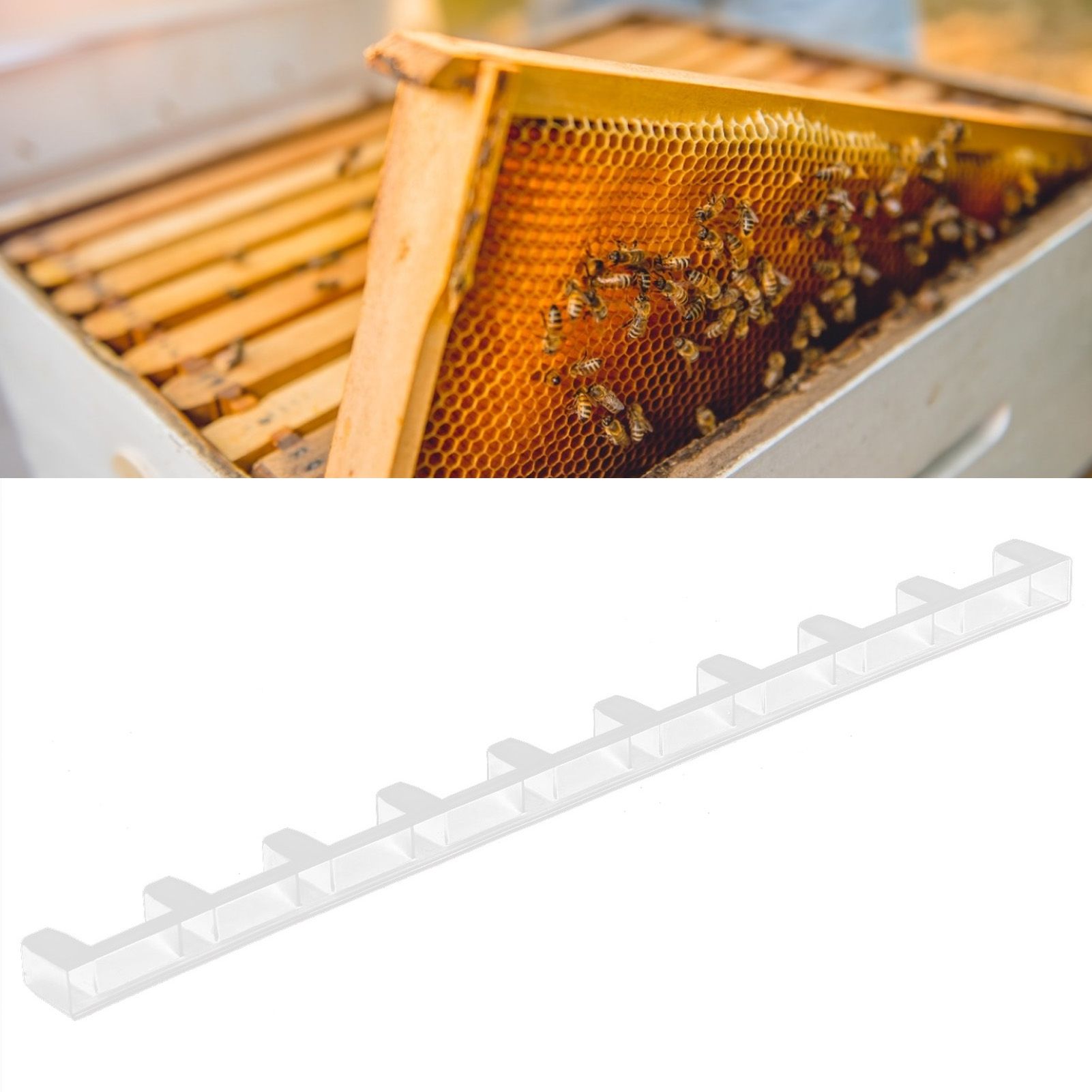 10PCS Beehive Beekeeping Spacers Frame Clips Beehive Frame Shelves Beekeeping view 13