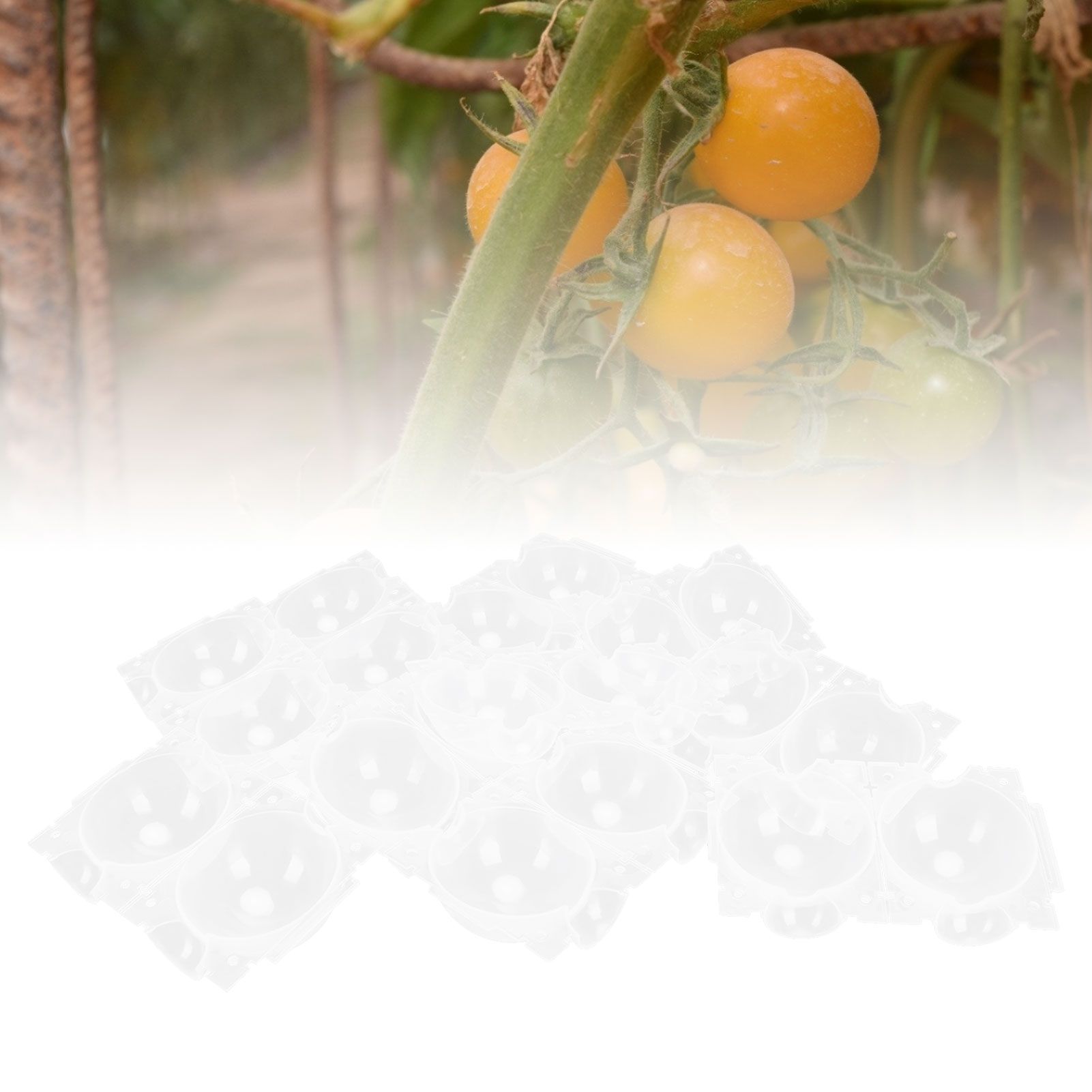 Reusable Plant Rooting Device High Pressure Propagation Ball Box Plant view 11
