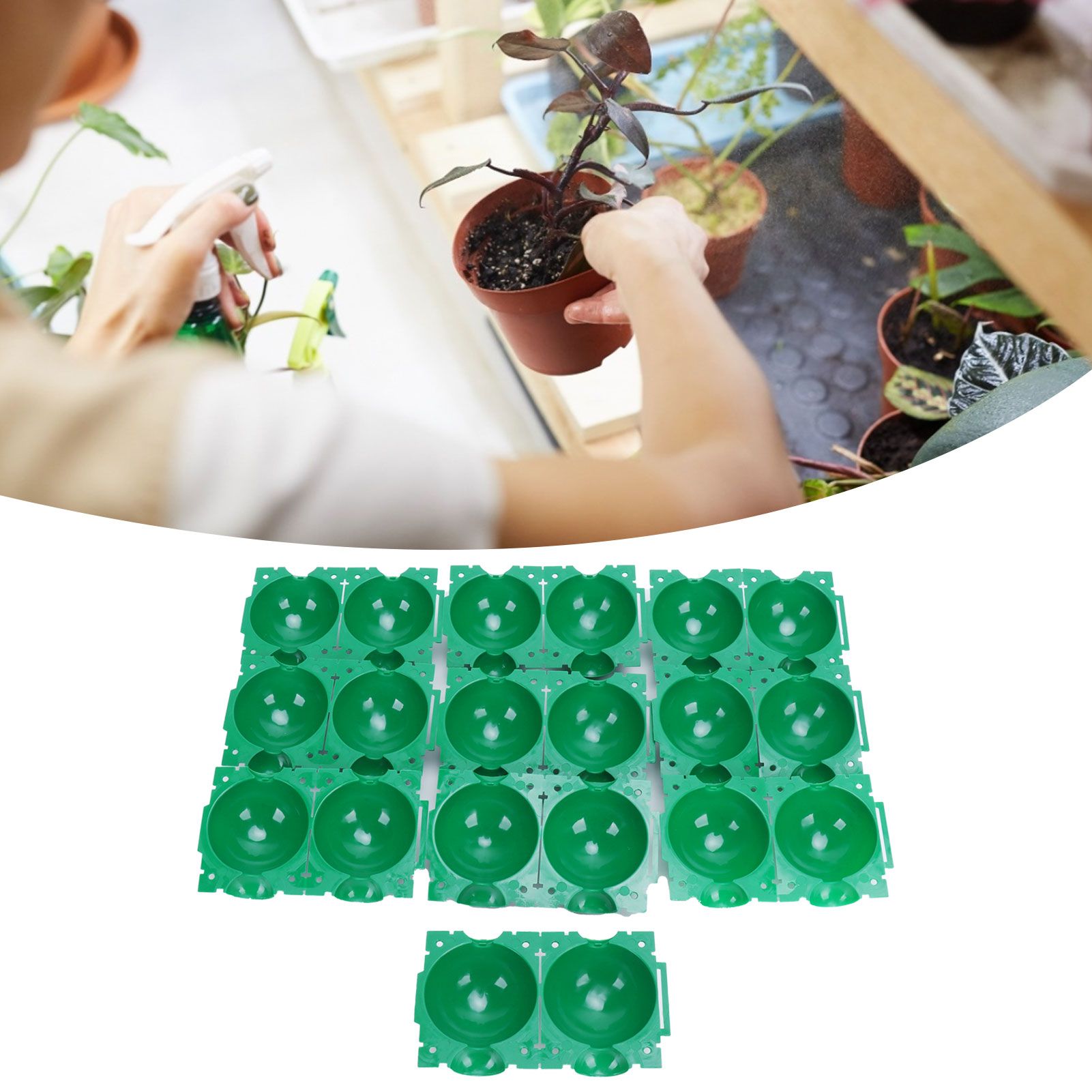 Reusable Plant Rooting Device High Pressure Propagation Ball Box Plant view 12