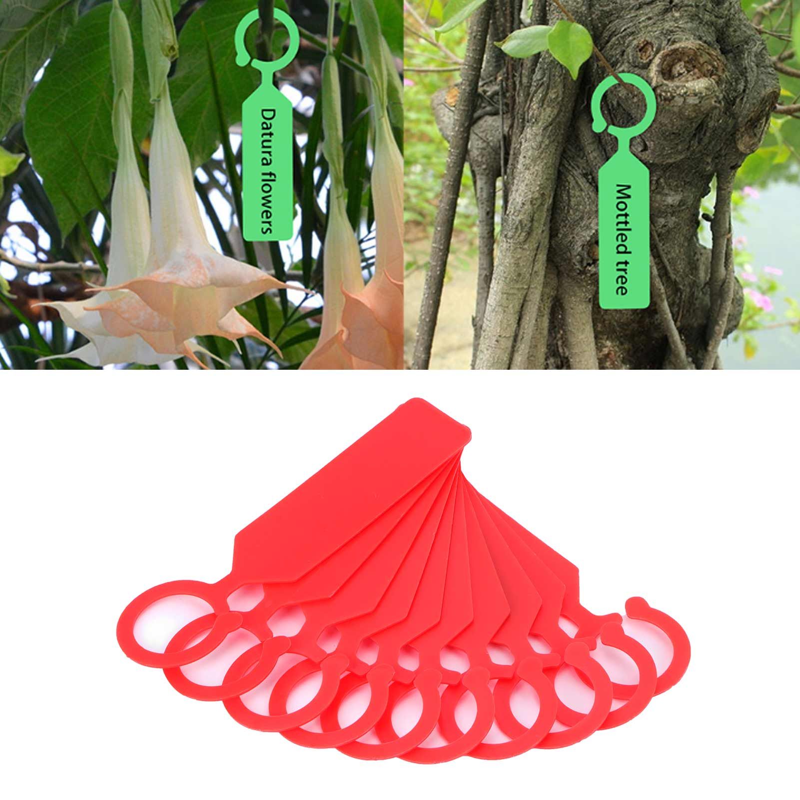 100Pcs Plant Tree Tag Hanging Flower Labels Sign Markers Gardening Accessory view 12