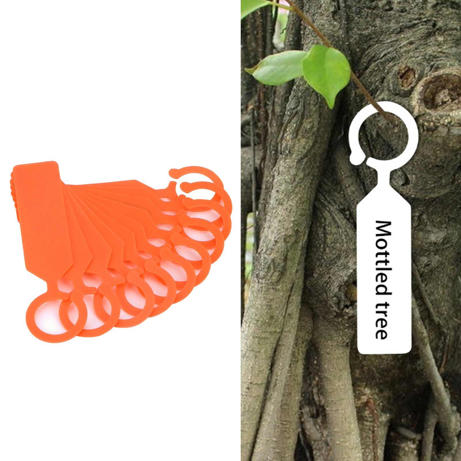 100Pcs Plant Tree Tag Hanging Flower Labels Sign Markers Gardening Accessory view 11