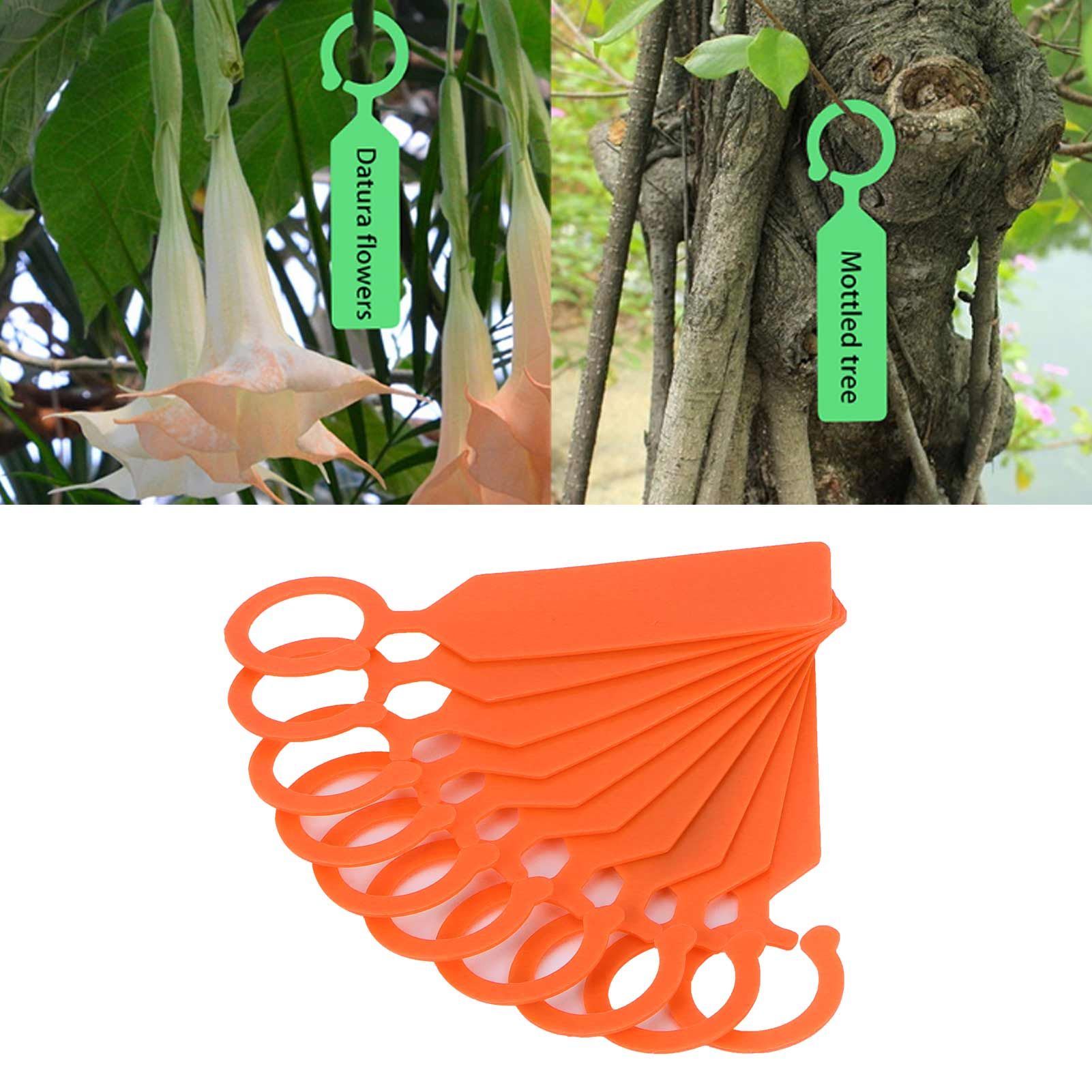 100Pcs Plant Tree Tag Hanging Flower Labels Sign Markers Gardening Accessory view 12