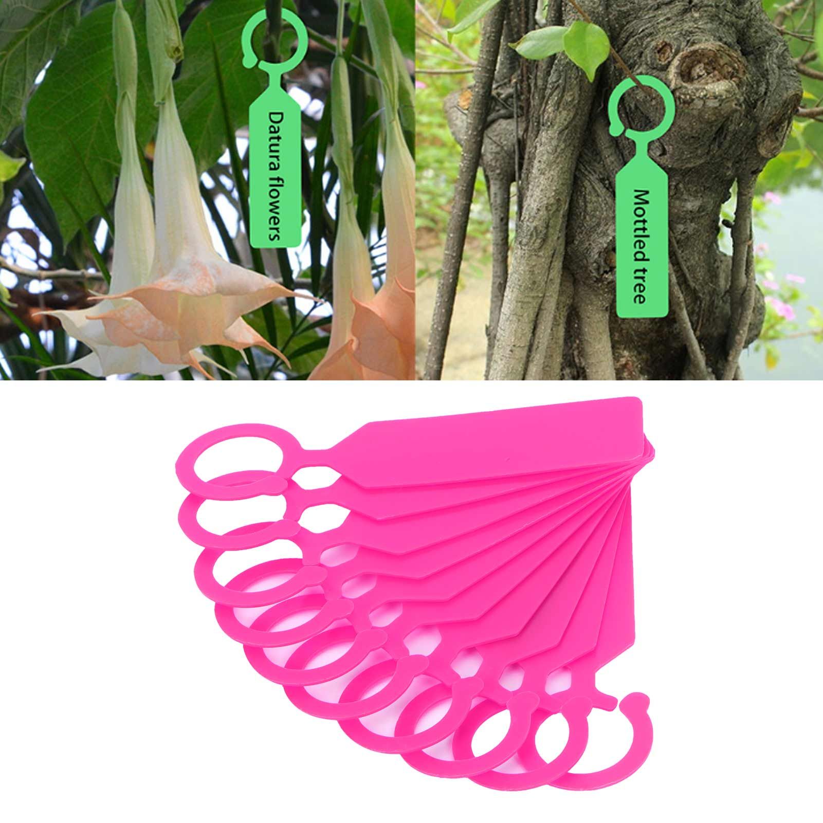 100Pcs Plant Tree Tag Hanging Flower Labels Sign Markers Gardening Accessory view 12