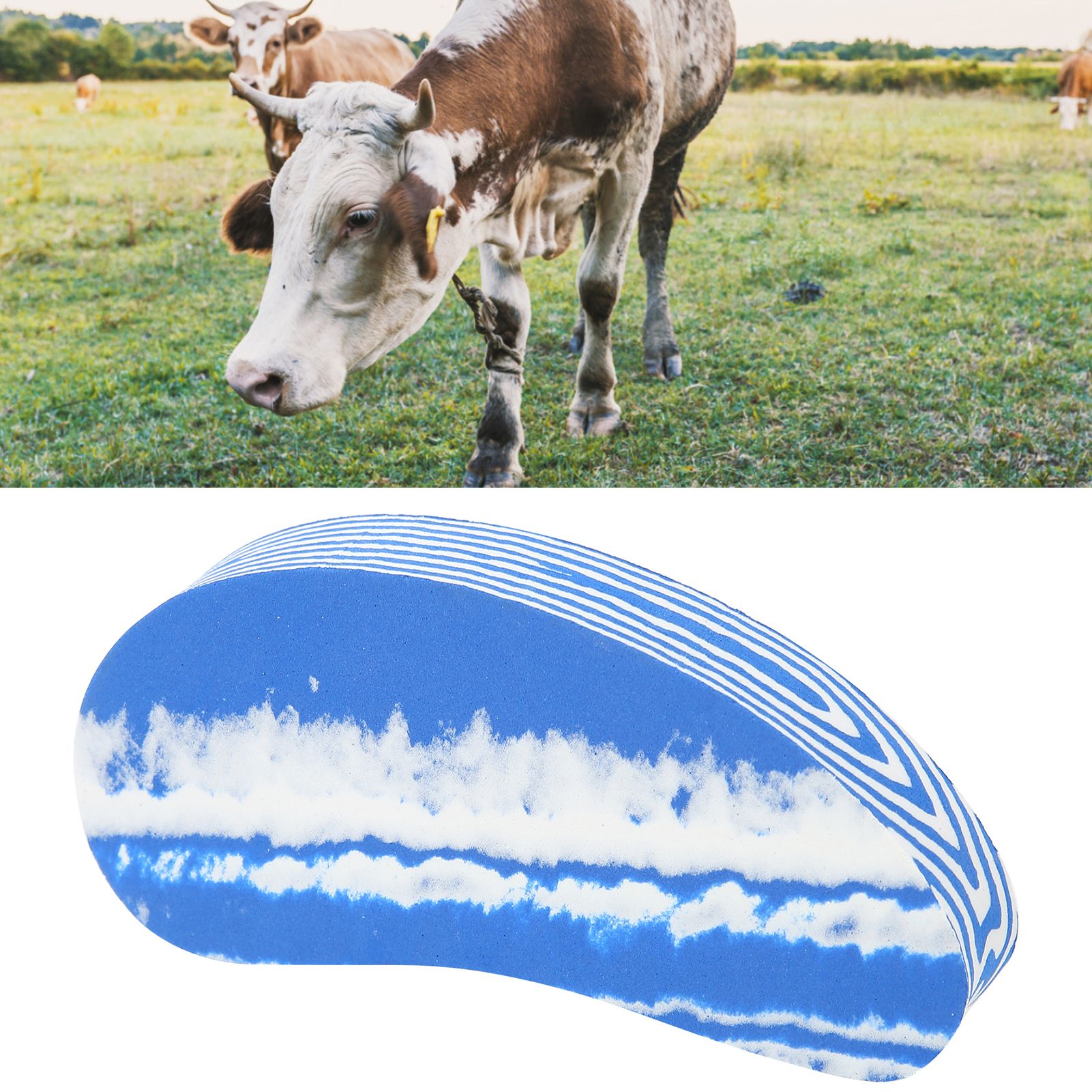 Rubber Hoof Trimmer Pad Cattle Cow Hoof Trimming Liner Farm Livestock Accessories view 12