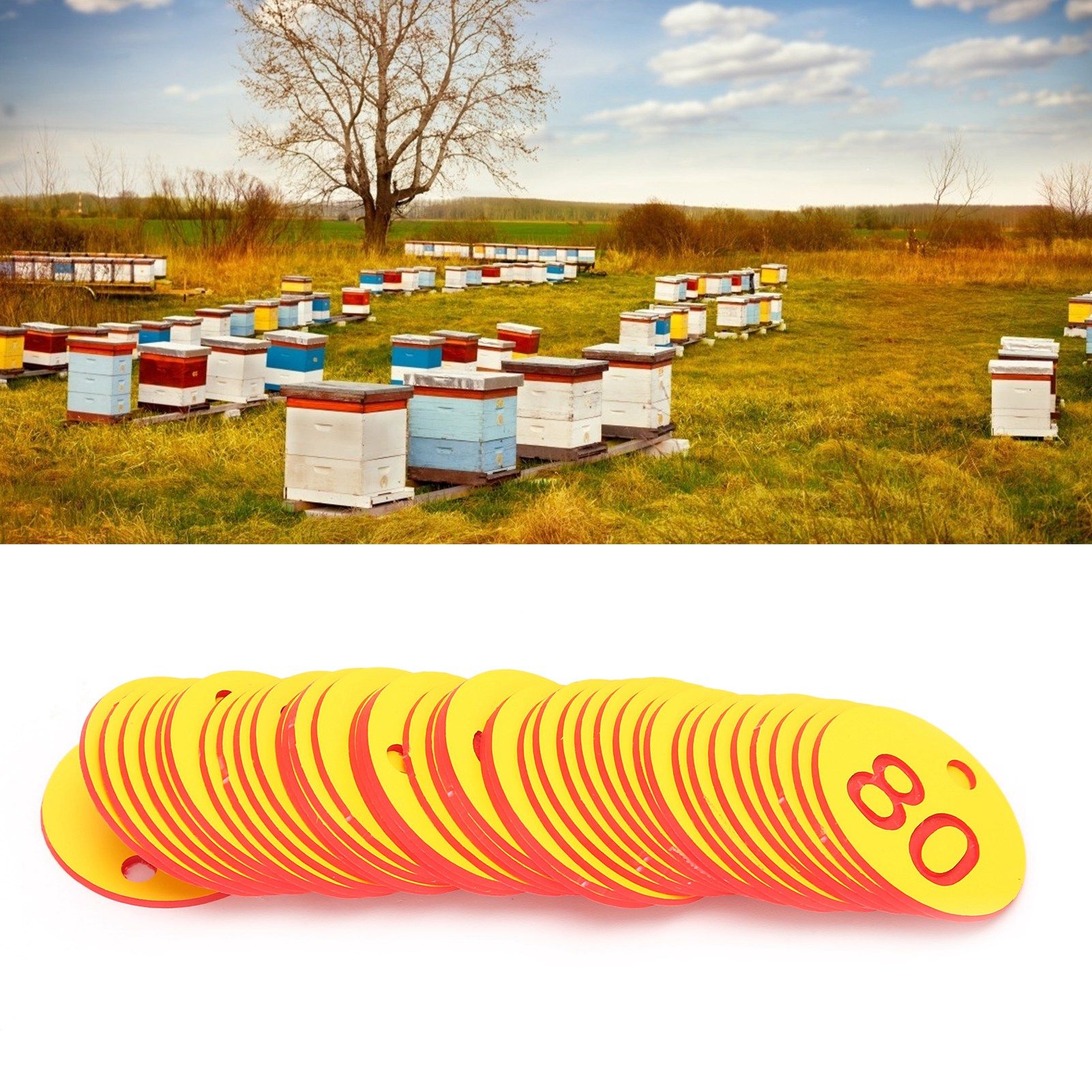 50Pcs Beehive Tag ABS Round Numbered Sign Labels with Hole Livestock Accessory view 11