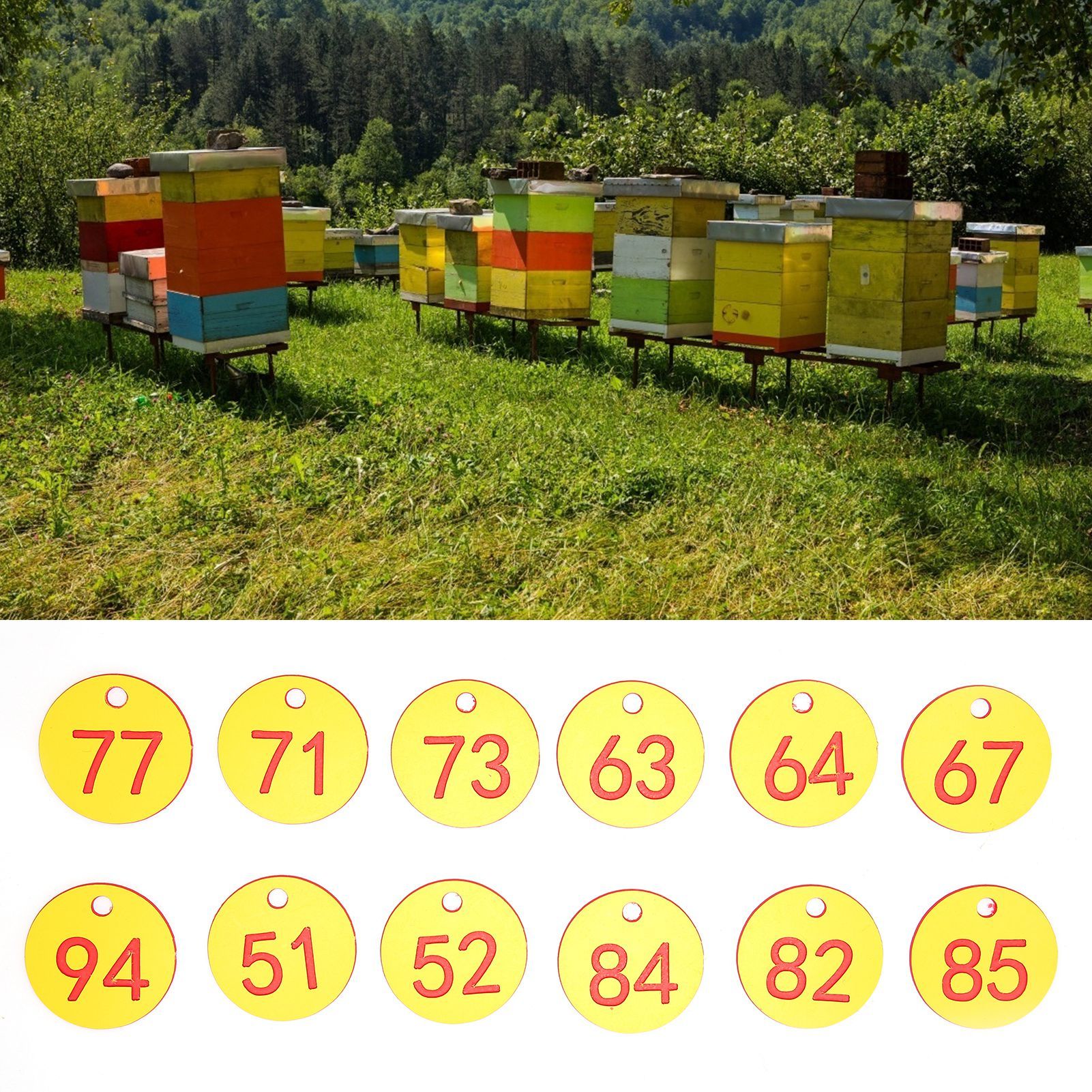 50Pcs Beehive Tag ABS Round Numbered Sign Labels with Hole Livestock Accessory view 12