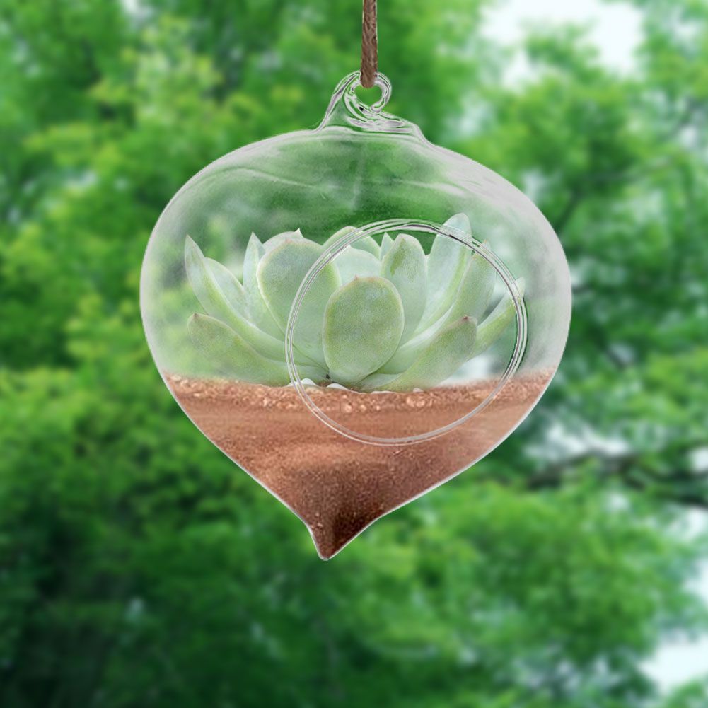 Flowerpot Succulent Plant Container Hanging Glass Vase Home Garden Decor view 3