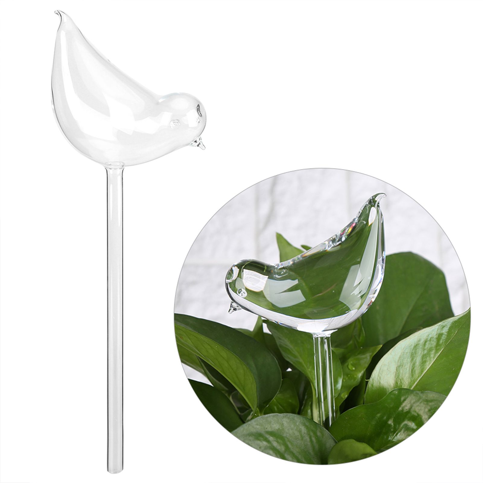 House Plants Flowers Automatic Self Watering Devices Clear Glass Water Feeder view 11
