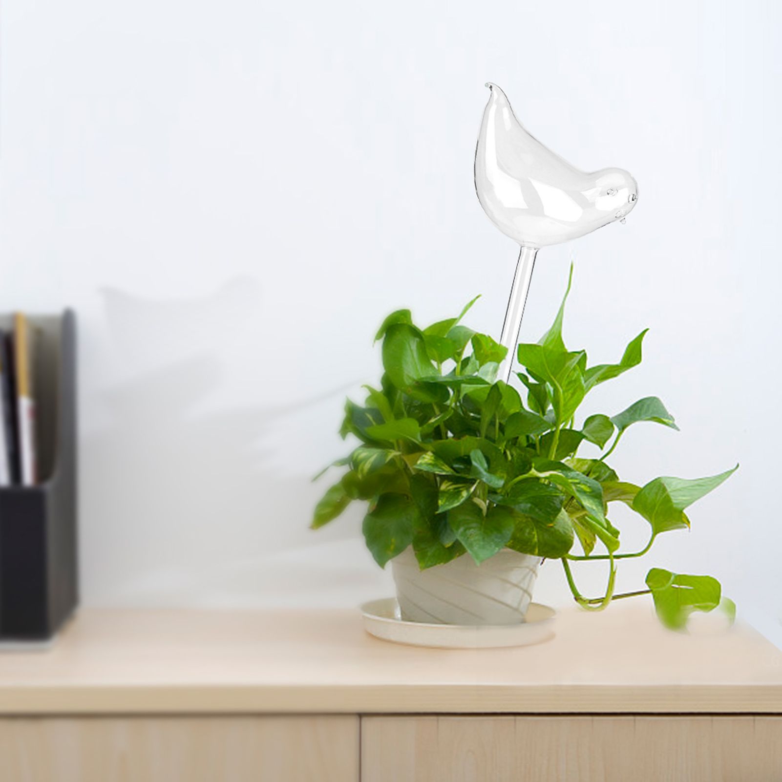 House Plants Flowers Automatic Self Watering Devices Clear Glass Water Feeder view 13