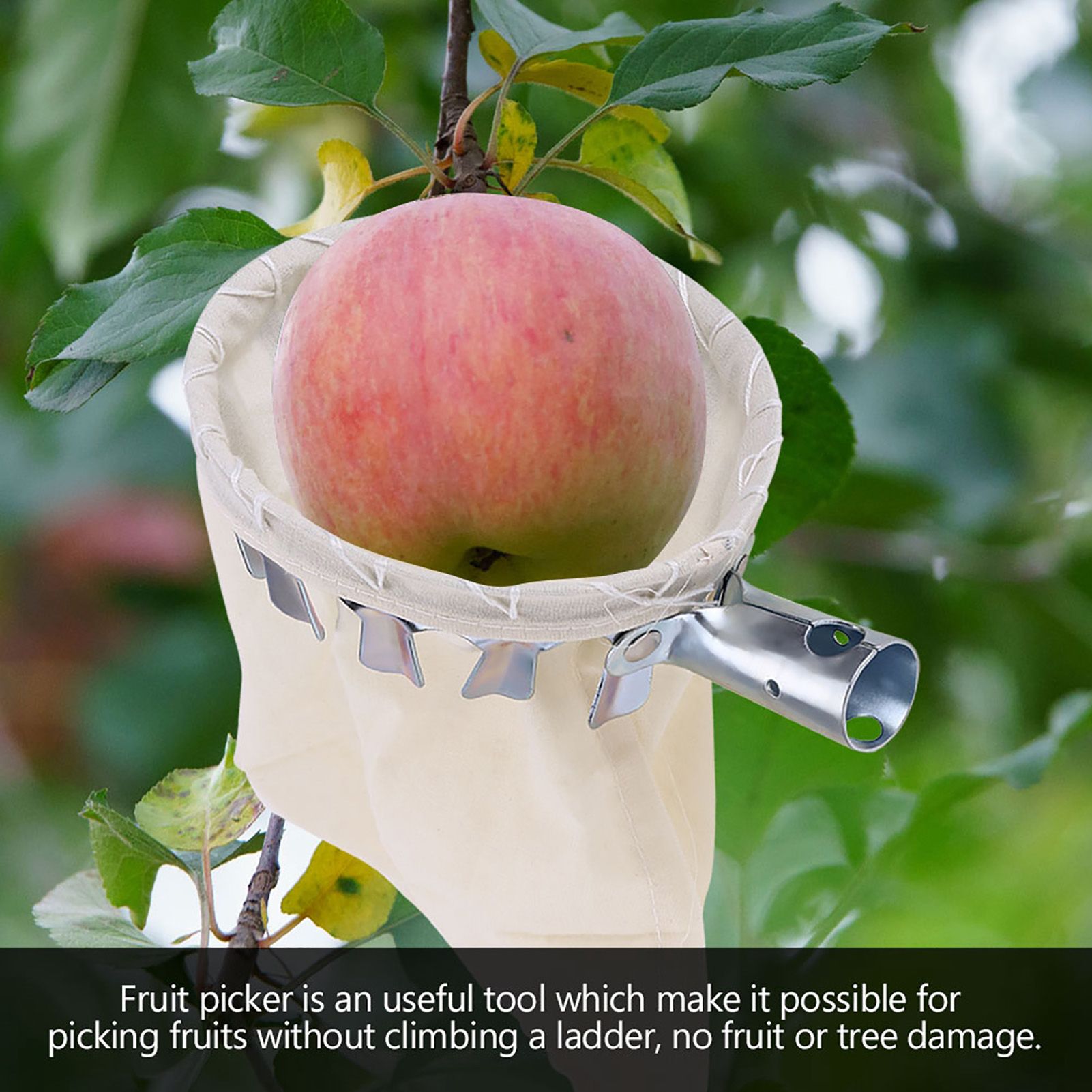 Fruit Picker Head Basket Fruit Picking Tools Fruits Catcher for Harvest view 2