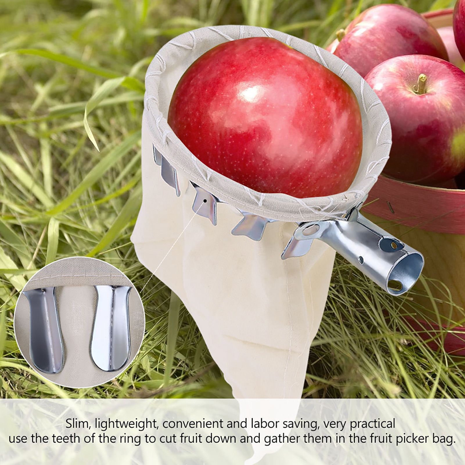 Fruit Picker Head Basket Fruit Picking Tools Fruits Catcher for Harvest view 3