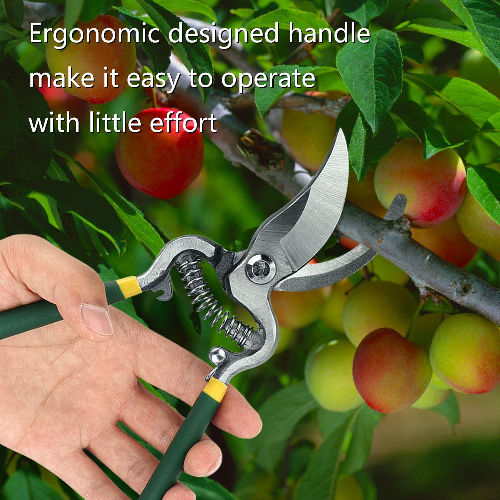1Pc Sturdy Fruit Tree Bonsai Gardening Pruning Shear Pruner Garden Scissors view 2
