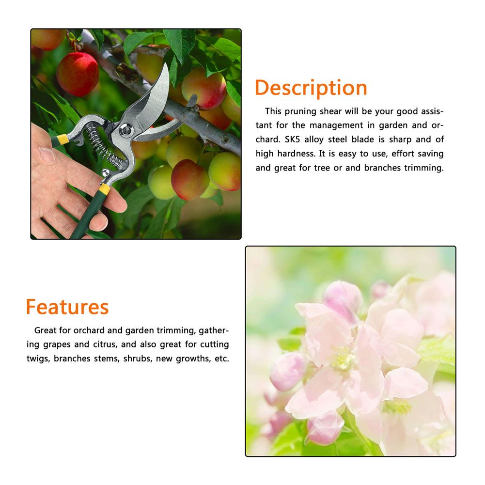 1Pc Sturdy Fruit Tree Bonsai Gardening Pruning Shear Pruner Garden Scissors view 3