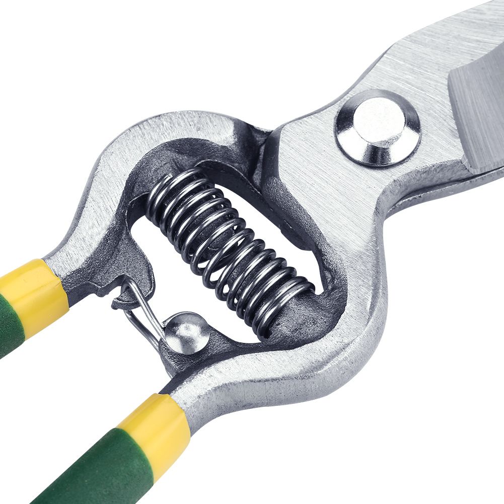 1Pc Sturdy Fruit Tree Bonsai Gardening Pruning Shear Pruner Garden Scissors view 11