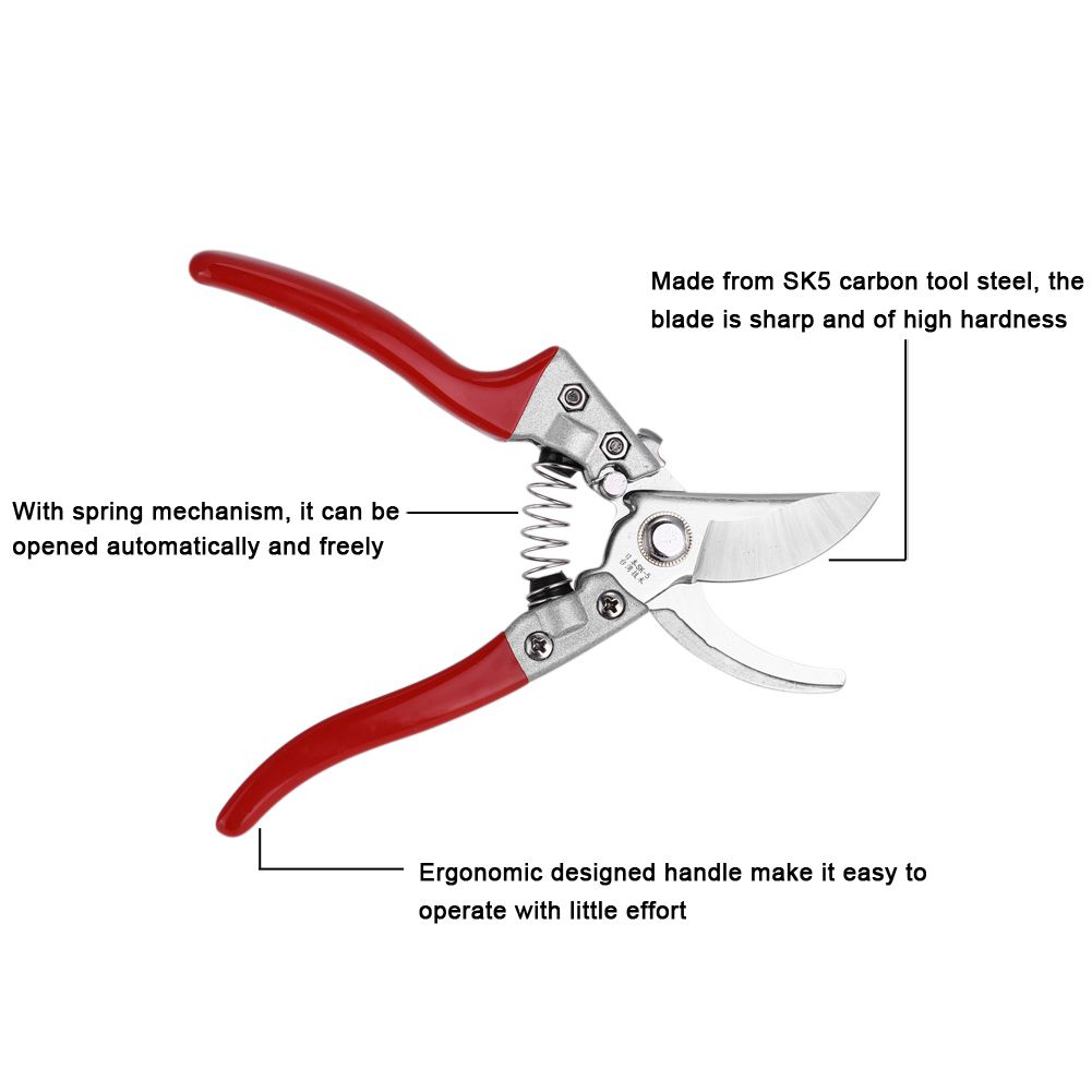 1Pc 8inch Fruit Tree Bonsai Gardening Pruning Shears Pruners Scissors Grafting view 4