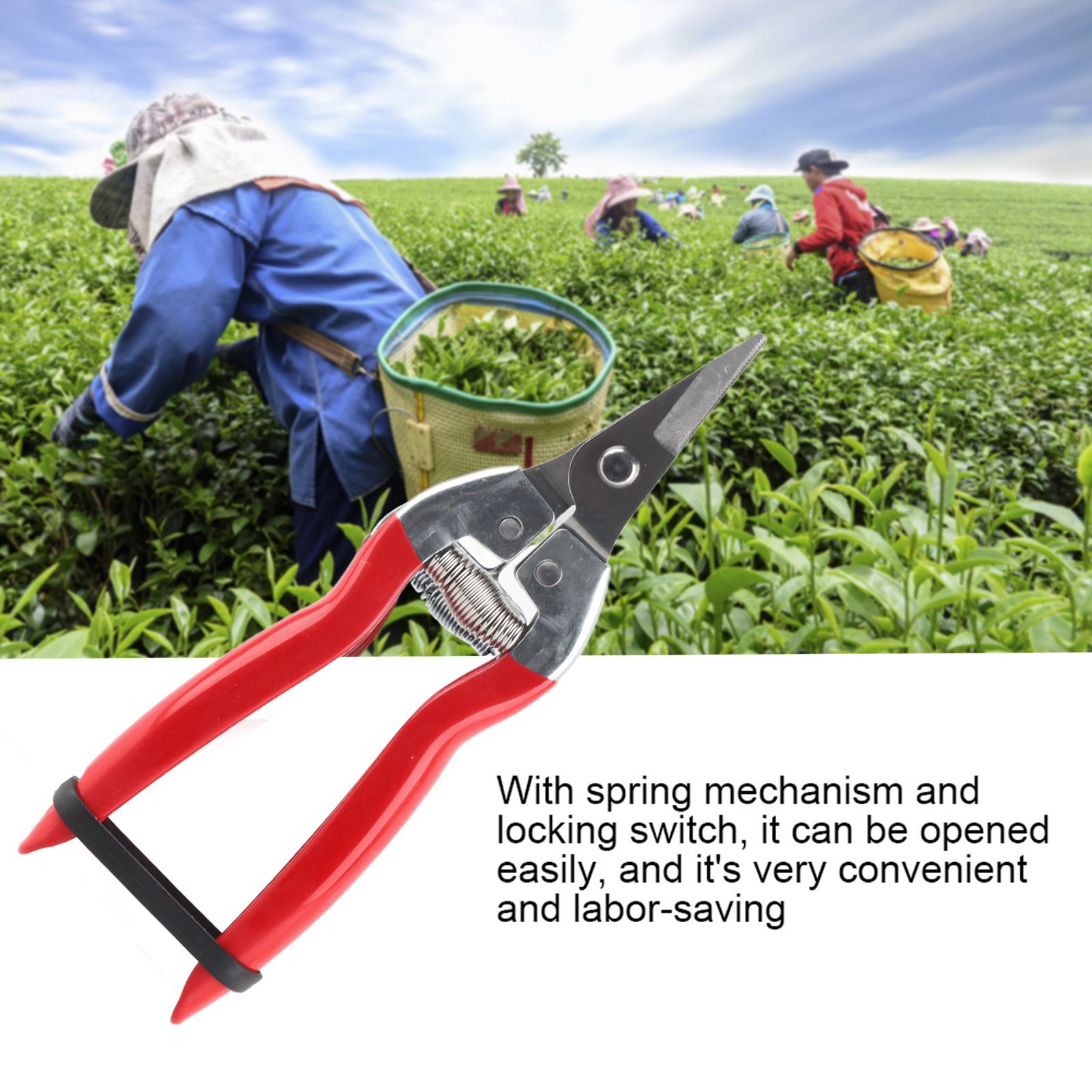 1Pc Sturdy Fruit Tree Bonsai Gardening Pruning Shear Garden Scissors Pruner view 4