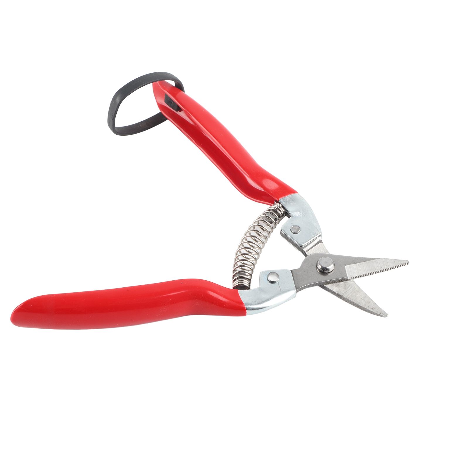1Pc Sturdy Fruit Tree Bonsai Gardening Pruning Shear Garden Scissors Pruner view 13