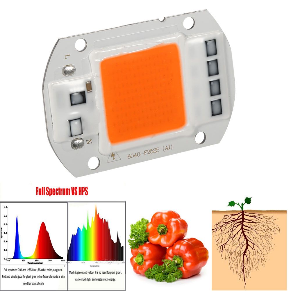 1Pc 50W Full Spectrum Warm/White Led COB Chip Grow Light Growth Lamp Garden view 7