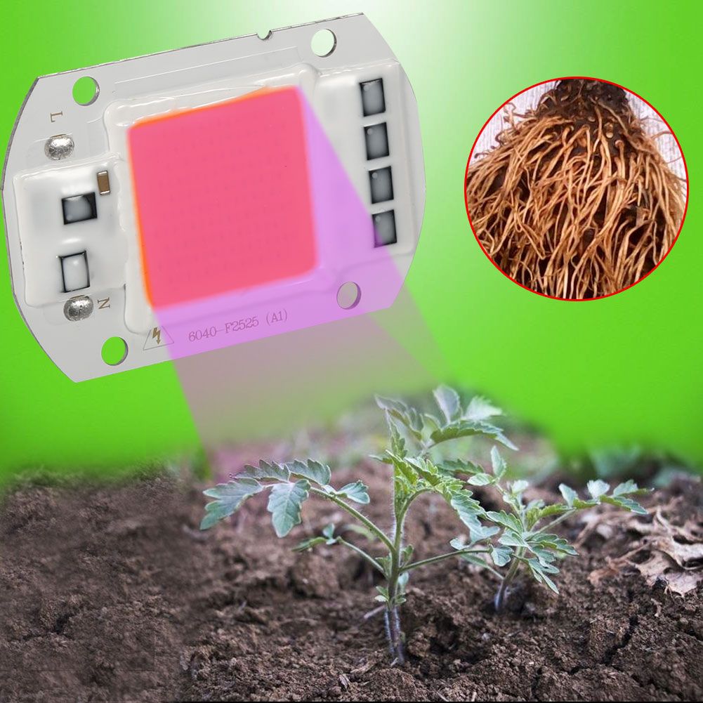 1Pc 50W Full Spectrum Warm/White Led COB Chip Grow Light Growth Lamp Garden view 8