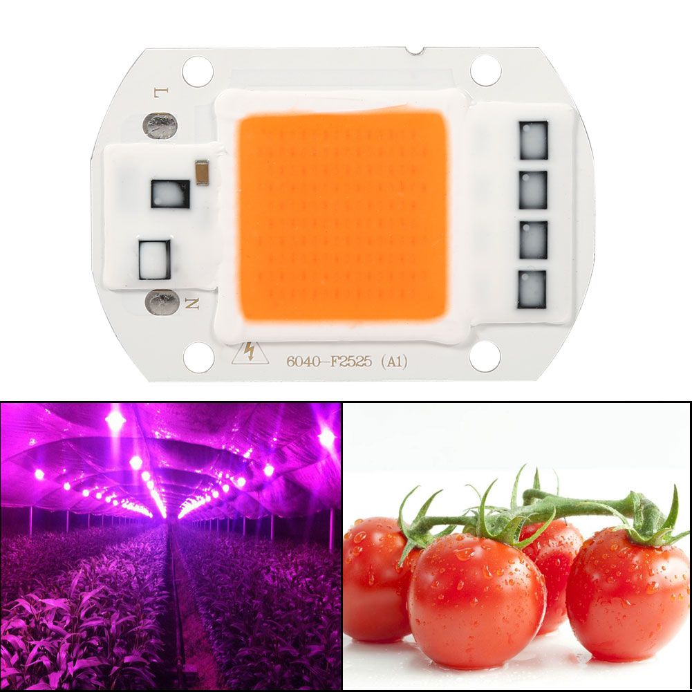 1Pc 50W Full Spectrum Warm/White Led COB Chip Grow Light Growth Lamp Garden view 9