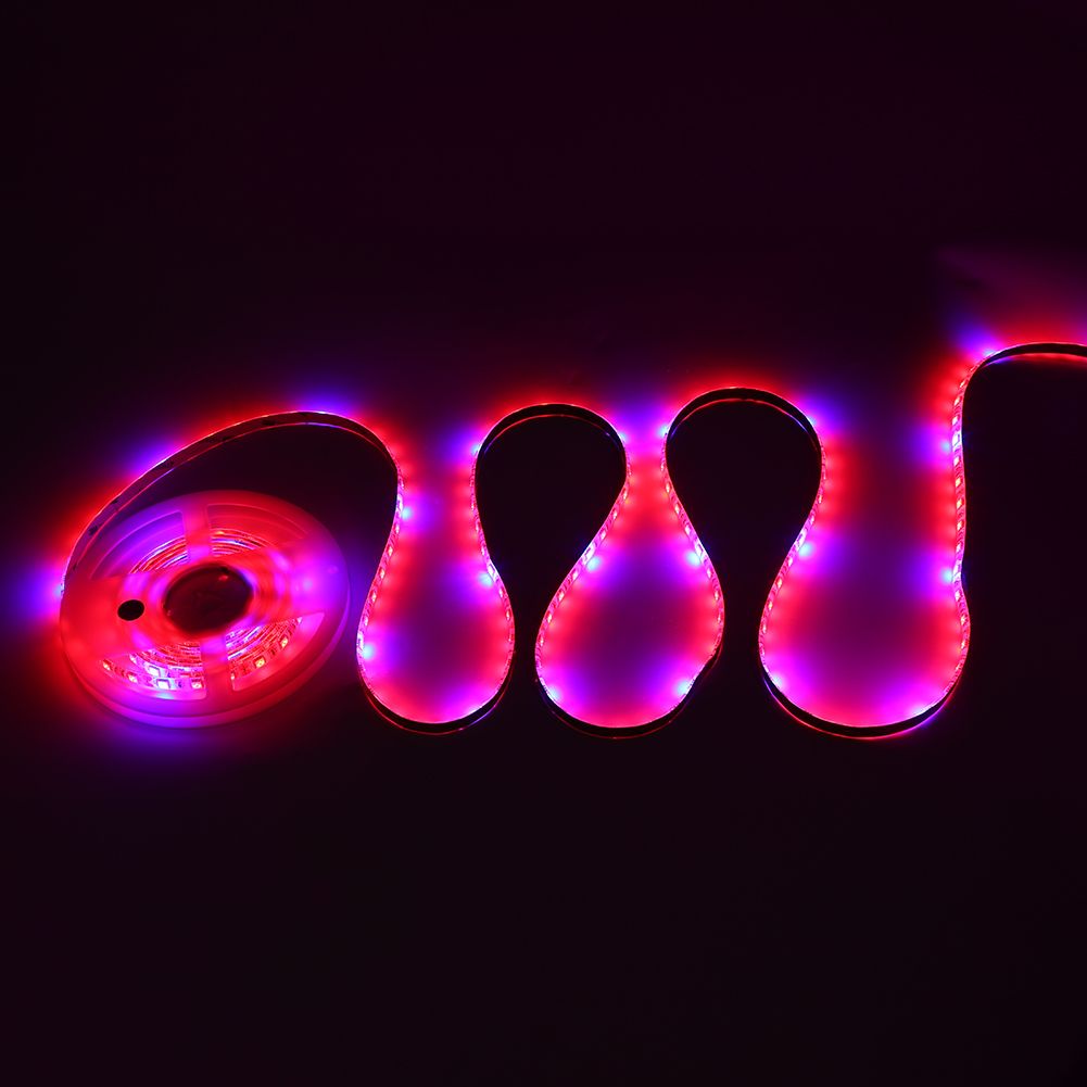 5:1 Plant Growth LED Strip Lights High Luminous Efficiency Flower view 8