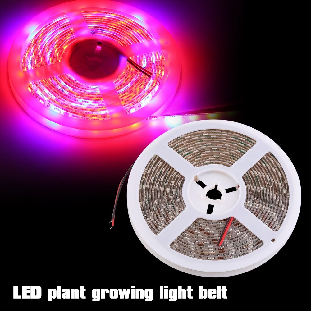 5:1 Plant Growth LED Strip Lights High Luminous Efficiency Flower view 10