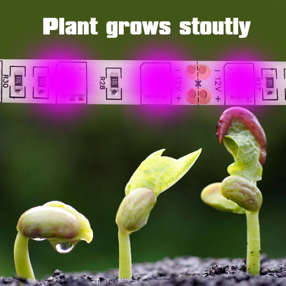 5:1 Plant Growth LED Strip Lights High Luminous Efficiency Flower view 11