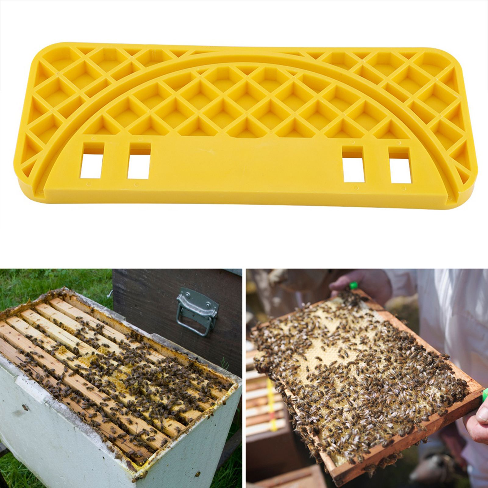 ABS Honey Type Bee Keeper Flat Equipment Hive Scraper Tool view 12