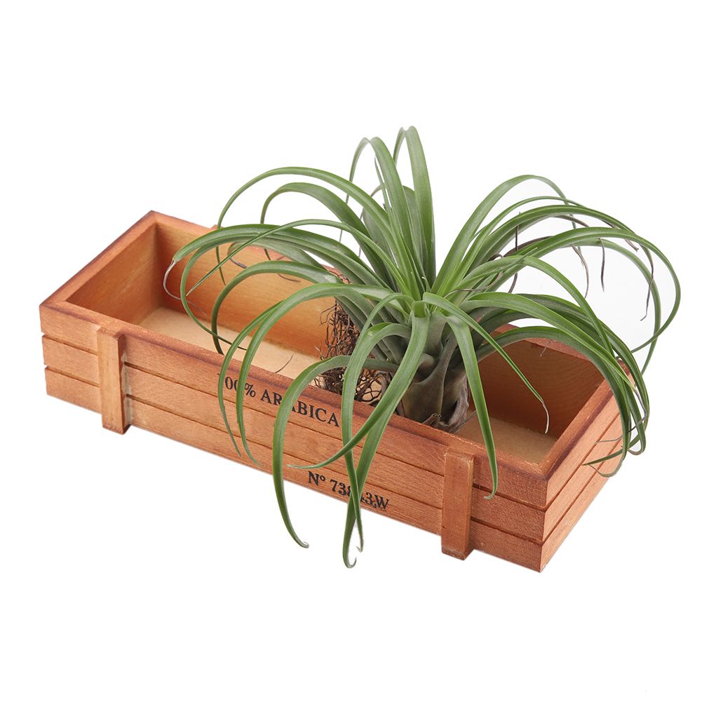 Vintage Wood Flower Planter Succulent Pot Rectangle Box for Home Desktop view 2