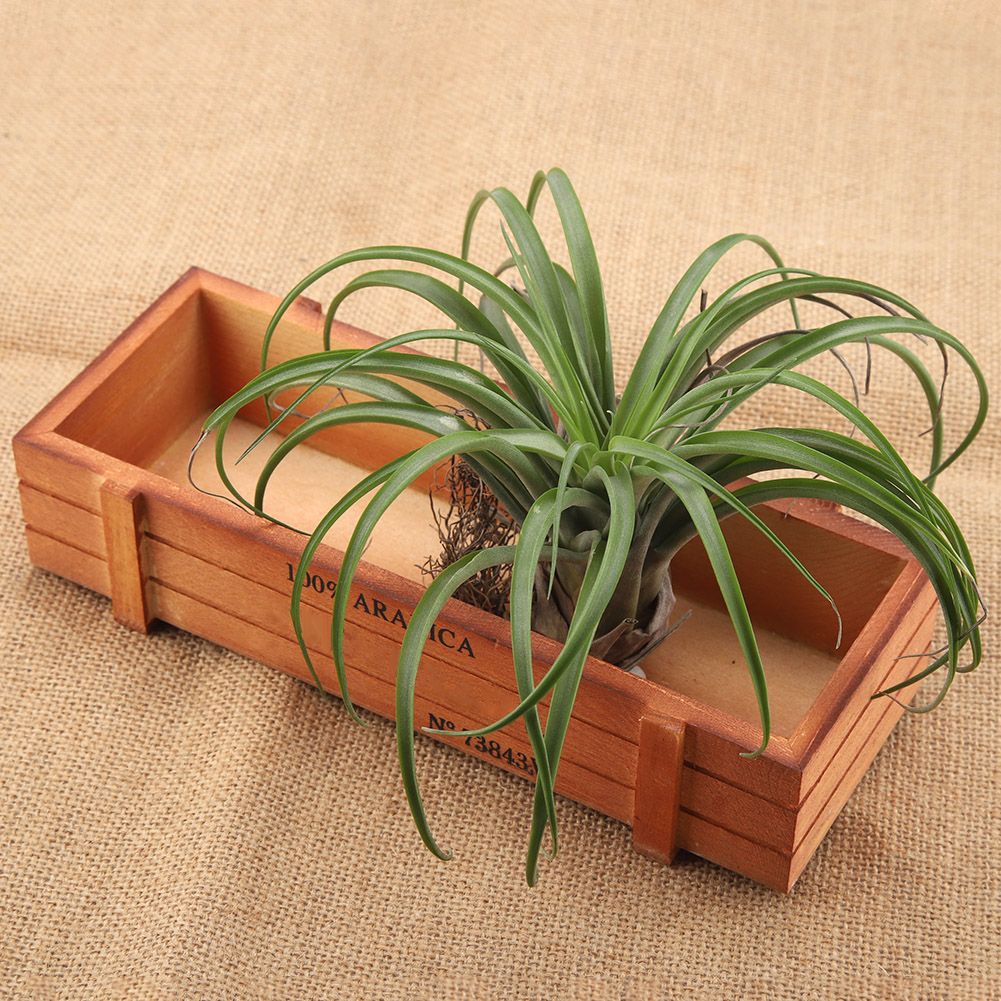 Vintage Wood Flower Planter Succulent Pot Rectangle Box for Home Desktop view 3