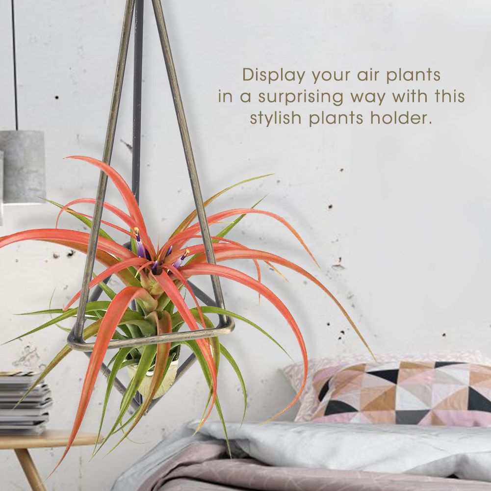 Geometric Triangle Hanging Flower Holder Stand Elegant Air Plants Bromeliads view 3