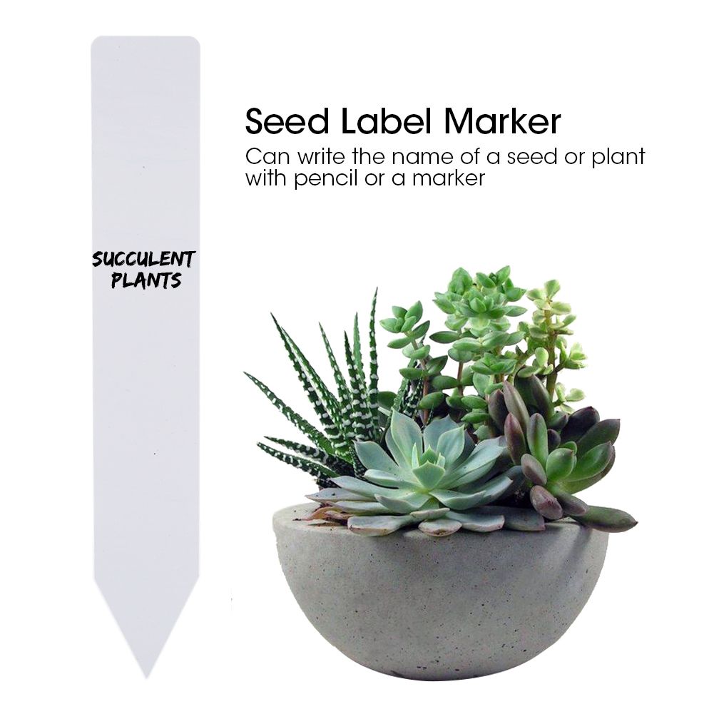 100 Pcs Plastic Plant Labels Pot Marker Nursery Garden Seed Stake Tags Tool(White) view 4