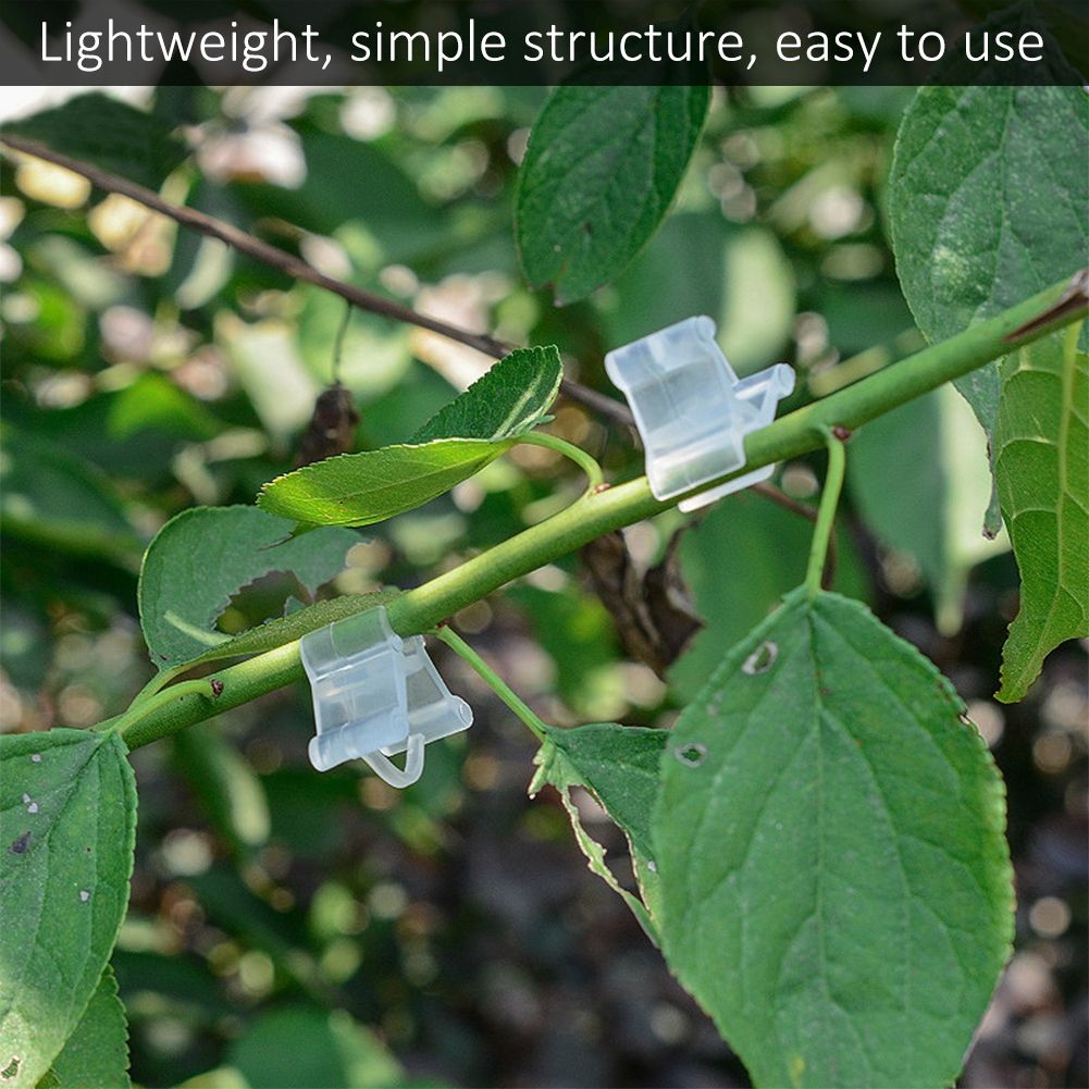 100Pcs Vegetable Fruit Tree Seedling Nursery Plastic Plants Grafting Clips view 2