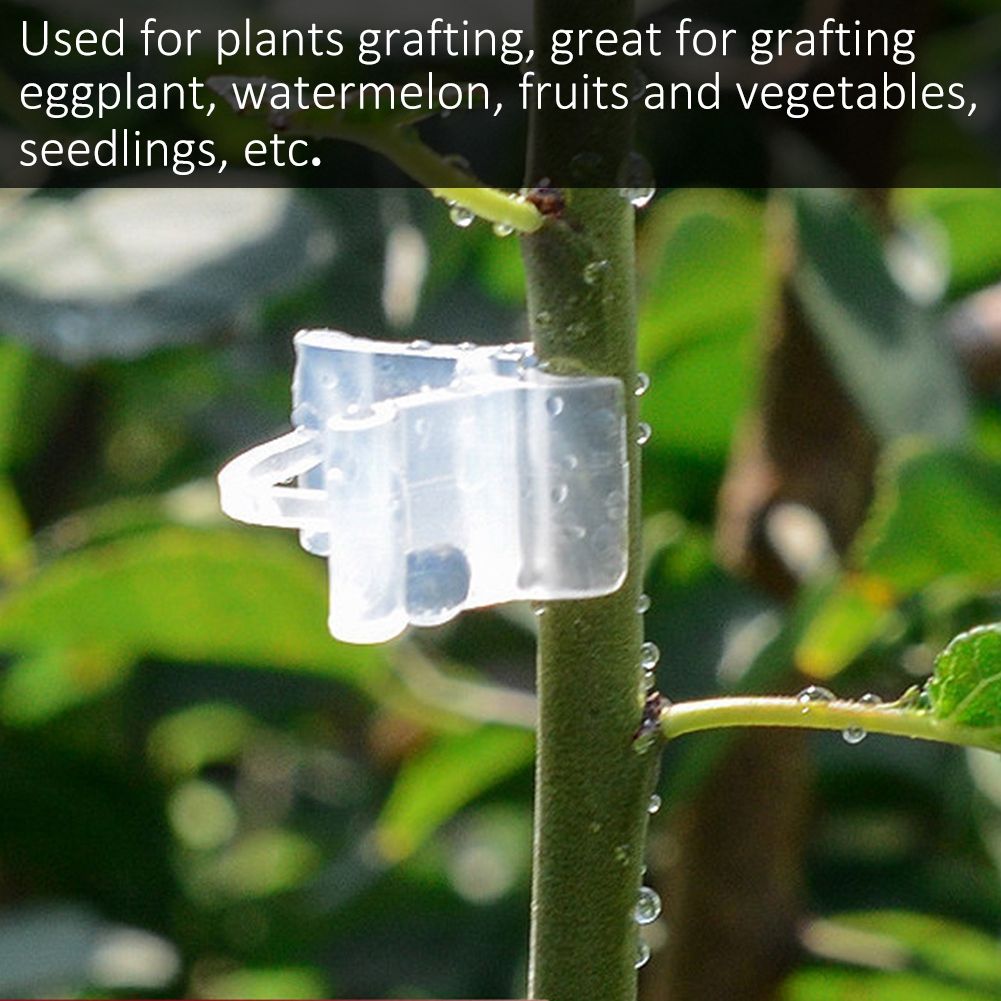 100Pcs Vegetable Fruit Tree Seedling Nursery Plastic Plants Grafting Clips view 3