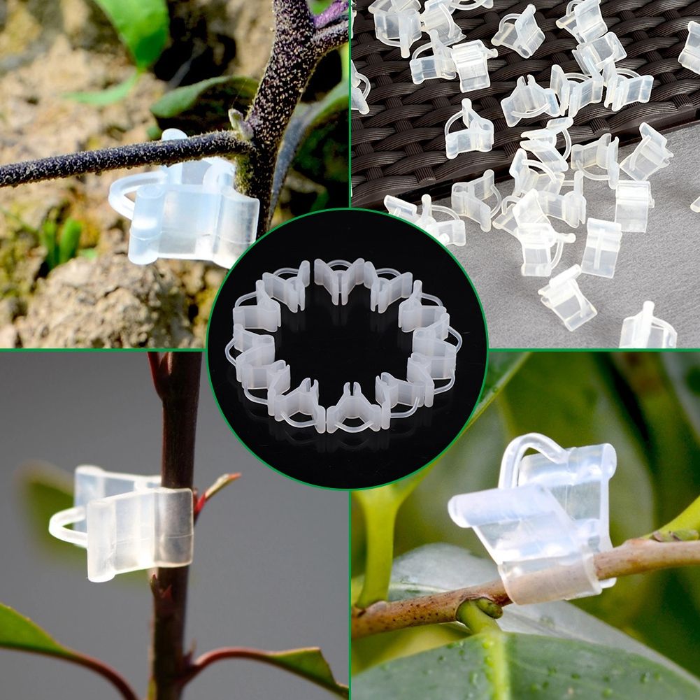 100Pcs Vegetable Fruit Tree Seedling Nursery Plastic Plants Grafting Clips view 12