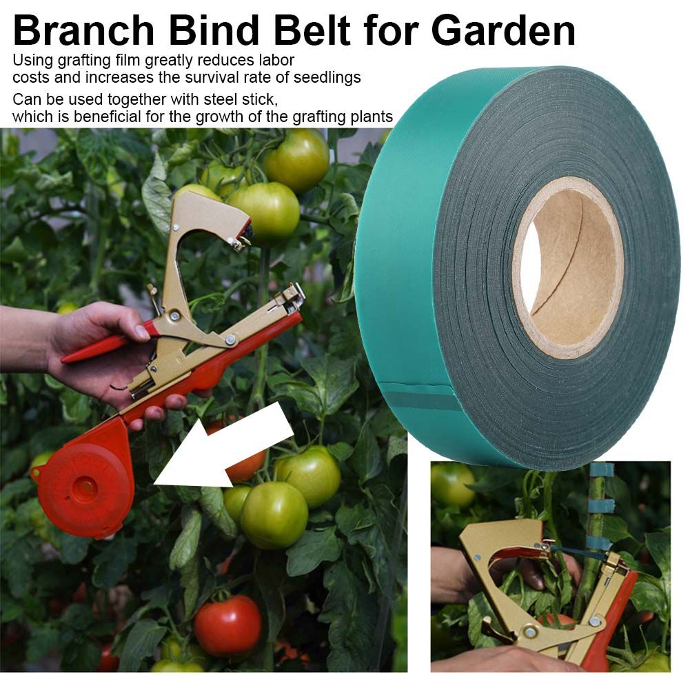 PVC Roll Tape Branch Bind Belt for Garden Parafilm Graft Plant Fruit Tree view 7