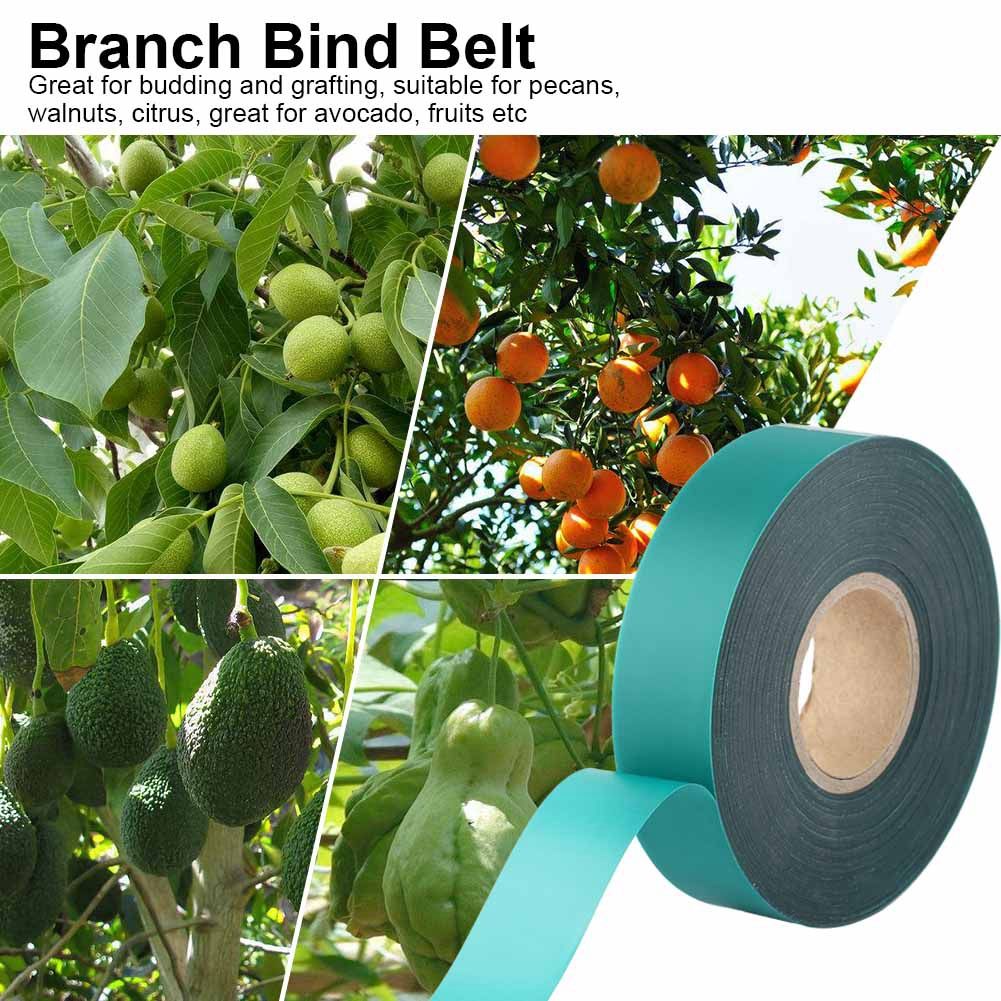PVC Roll Tape Branch Bind Belt for Garden Parafilm Graft Plant Fruit Tree view 8