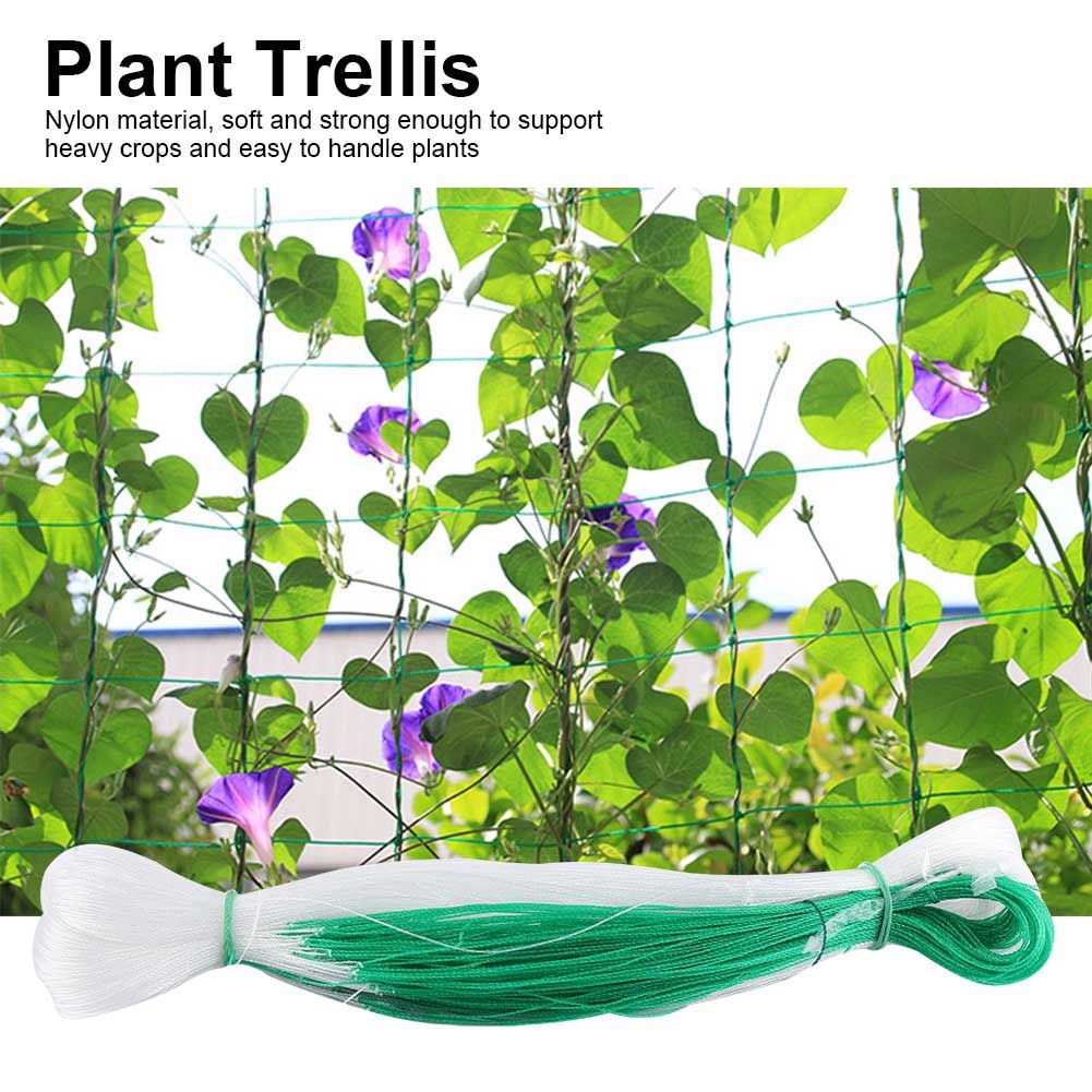 Garden Plant Trellis Net Plants Climbing Frame Fruit Tree Protect Anti Pest Weed view 7