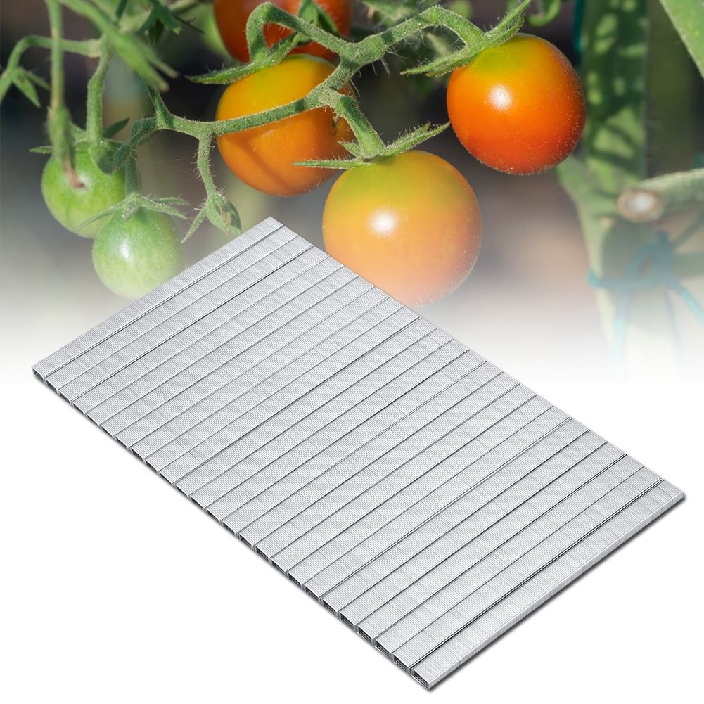10000pcs 604C Tomato Vine Binder Nail Tapetool Garden Nail Branch Binding Nail view 2