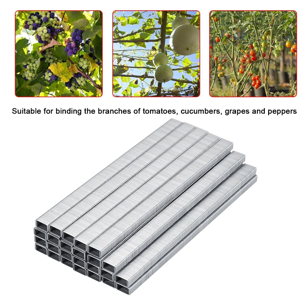 10000pcs 604C Tomato Vine Binder Nail Tapetool Garden Nail Branch Binding Nail view 4