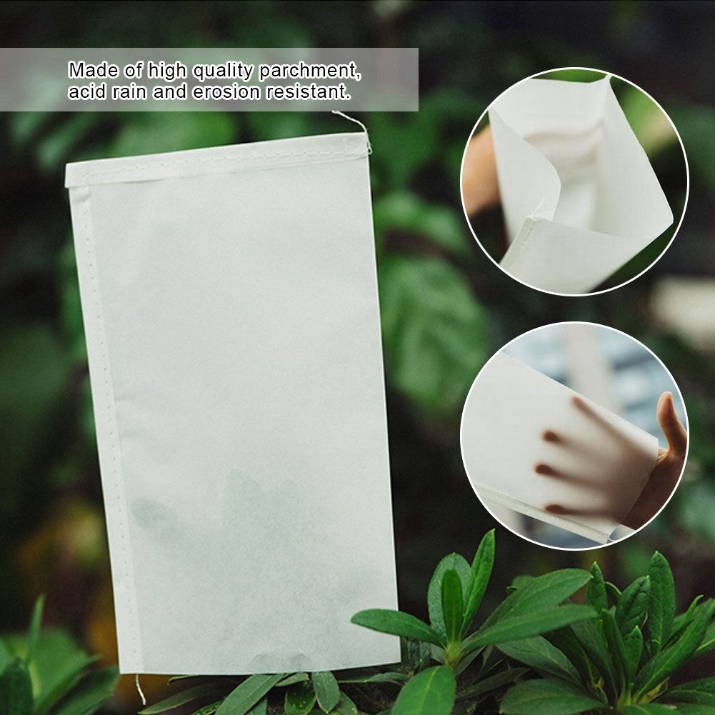 100 PCS Garden Pollination Parchment Bags Mosquito Bug Net Protective Bags for view 6