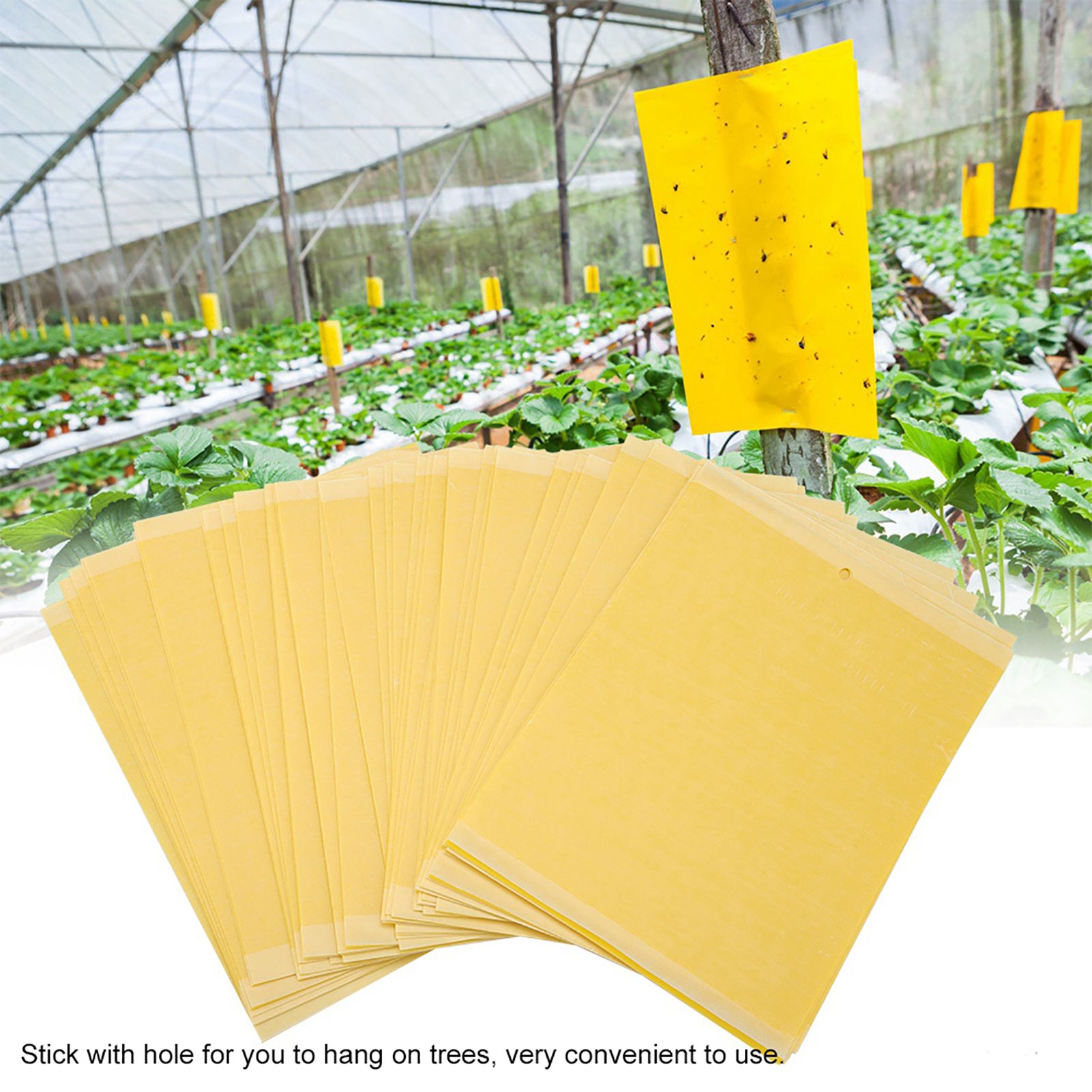 50Pcs Double sided Mosquito Glue Board Traps Pest Sticky Board Fly Insects view 5