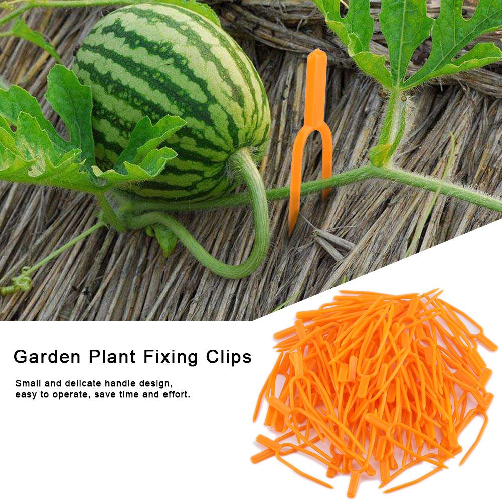 100Pcs Garden Plant Fixing Clips Resusable Stolon Melon Vines Securing Fixer Tool view 5