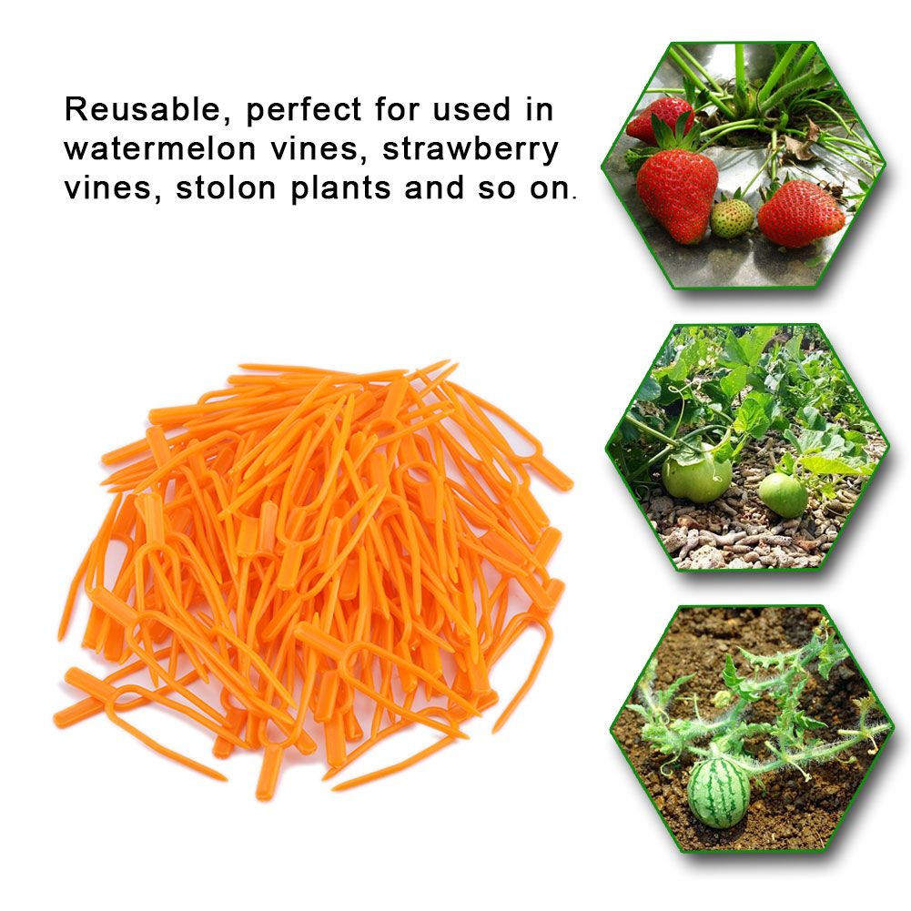 100Pcs Garden Plant Fixing Clips Resusable Stolon Melon Vines Securing Fixer Tool view 6