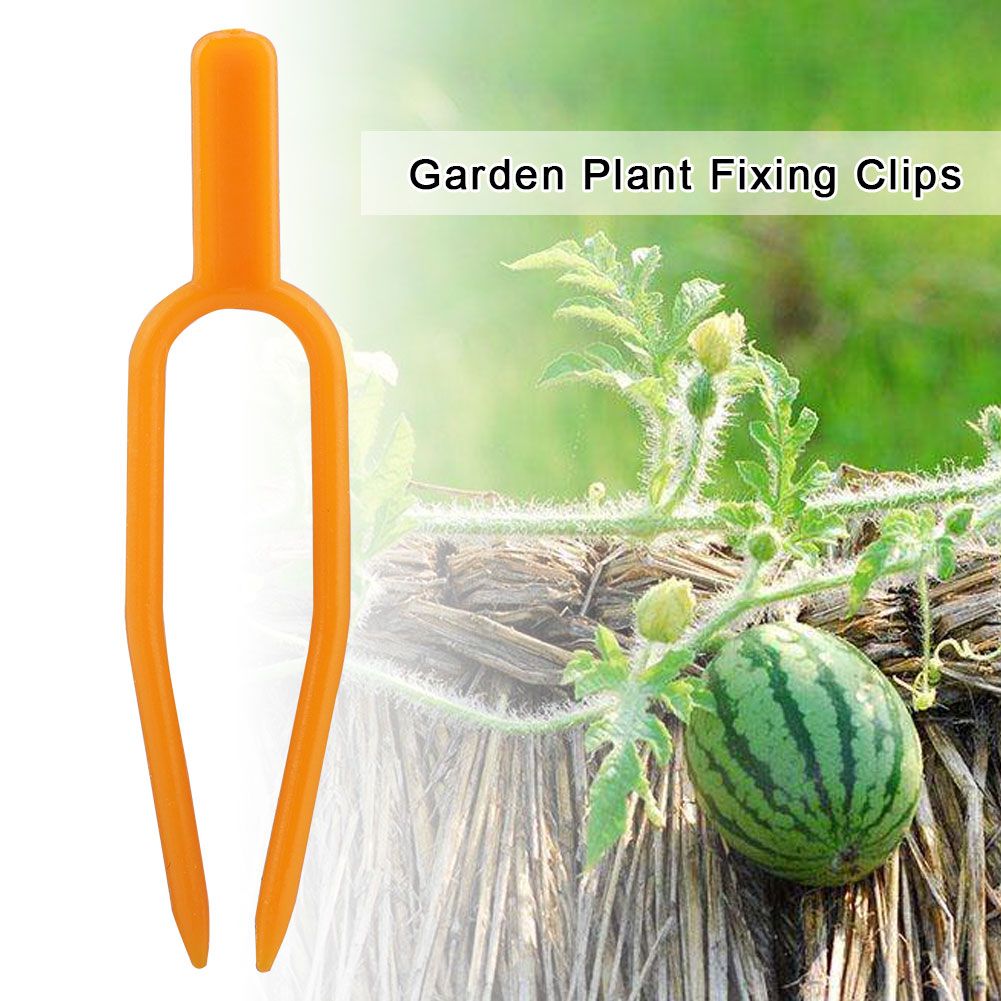 100Pcs Garden Plant Fixing Clips Resusable Stolon Melon Vines Securing Fixer Tool view 7