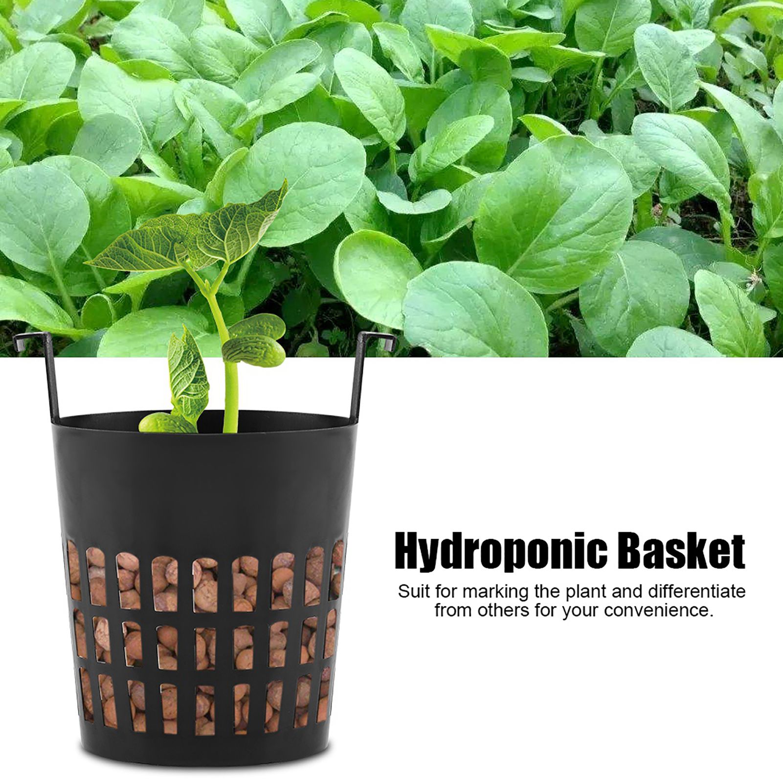 10Pcs High Quality Mesh Pot Net Basket Hydroponic Aeroponic Planting Grow Pots view 4