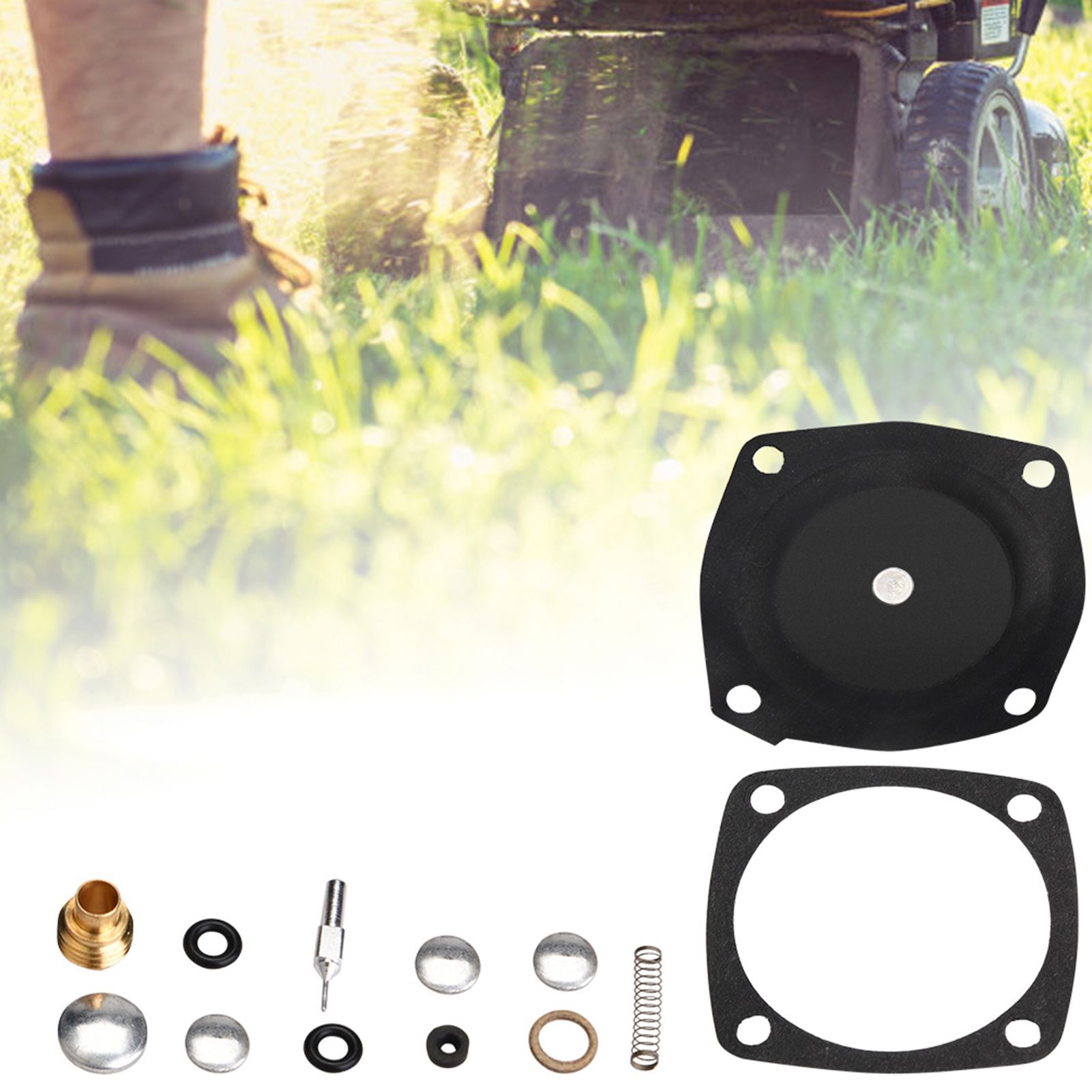 Carb Rebuild Carburetor Repair Kit 631893 for Tecumseh Toro Sears S140 S200 view 11